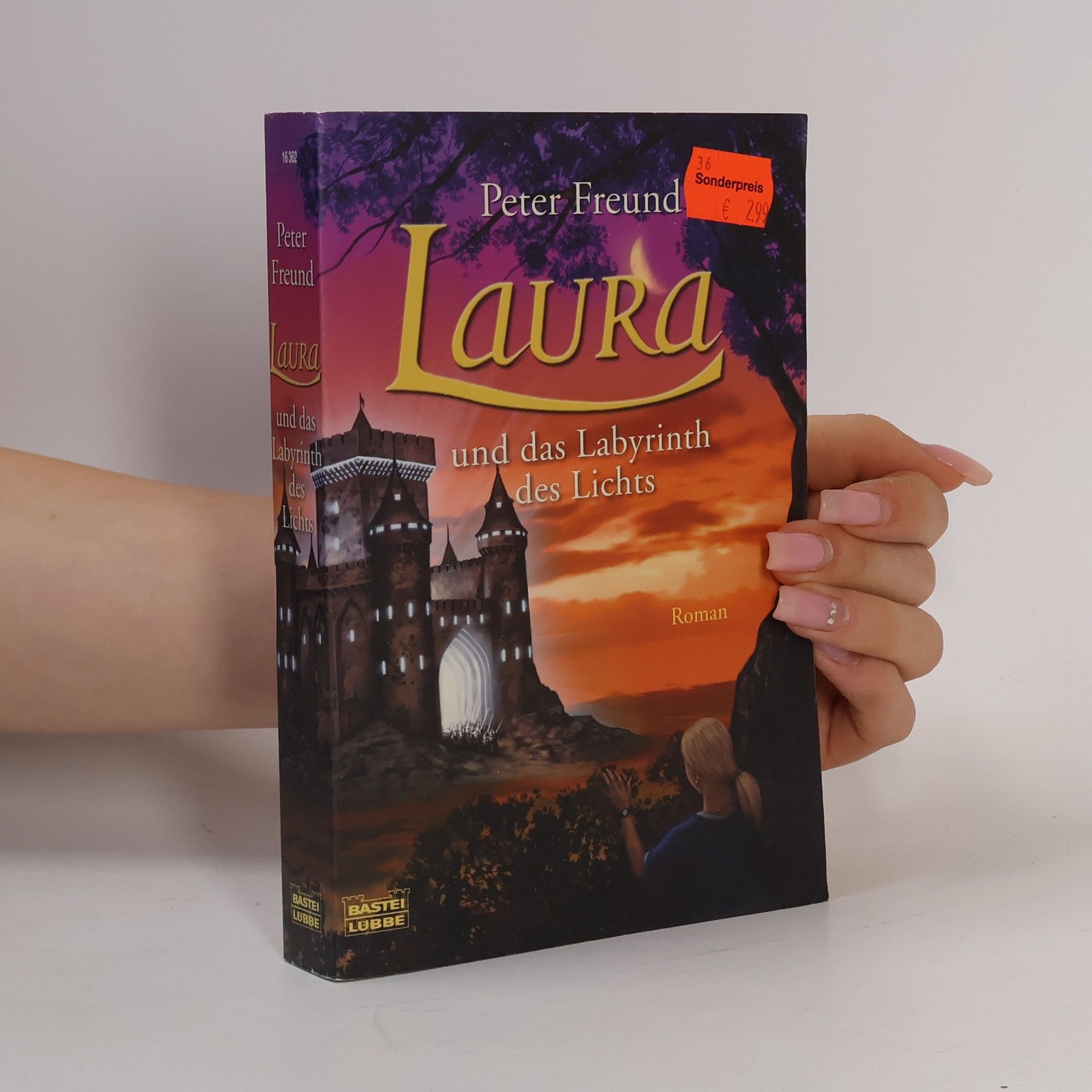 Peter Freund Laura und das Labyrinth des Lichts