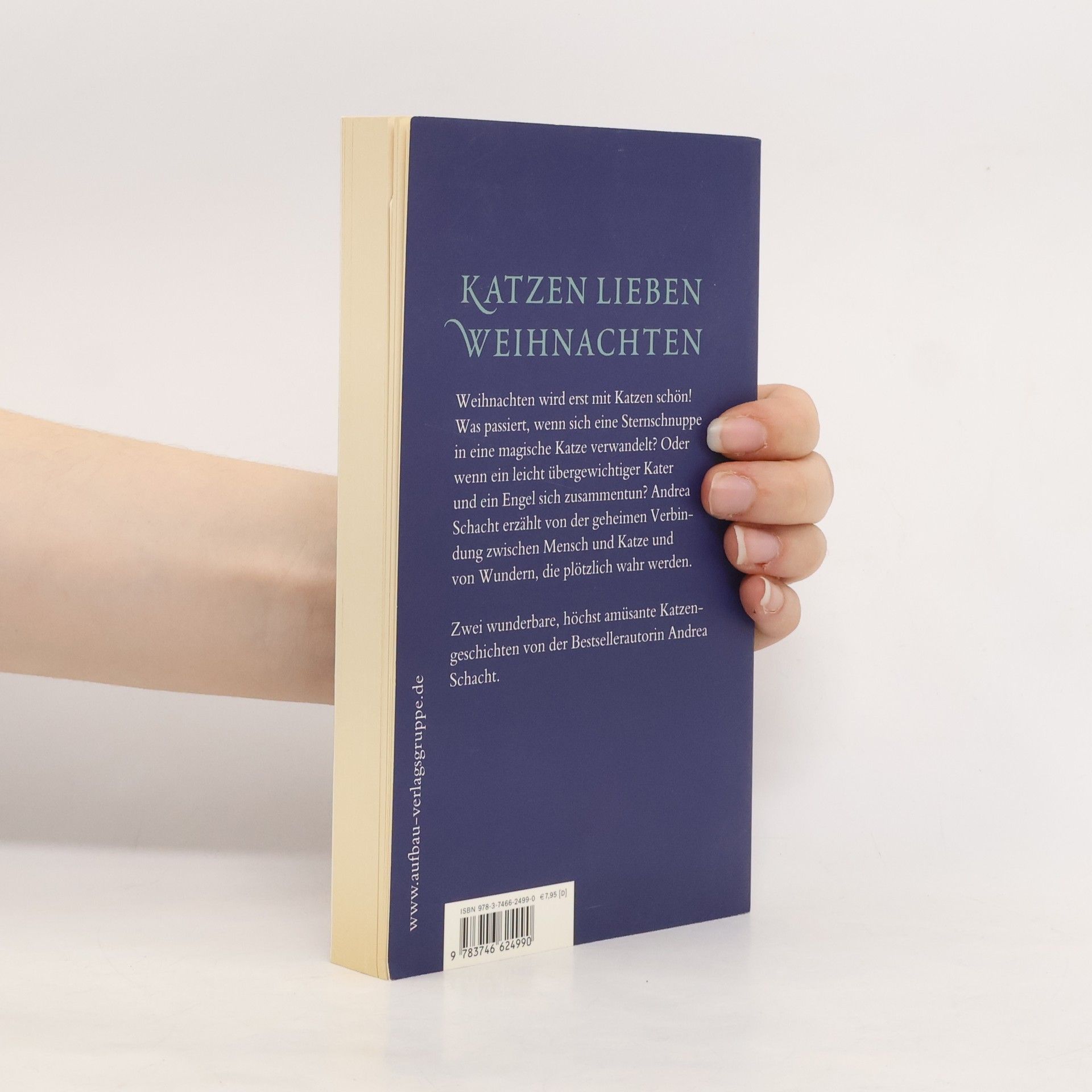Andrea Schacht Katzenweihnacht