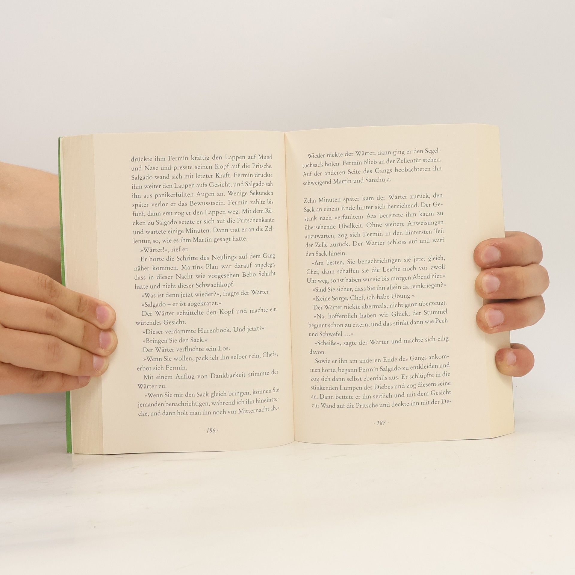 Carlos Ruiz Zafón Der Gefangene des Himmels
