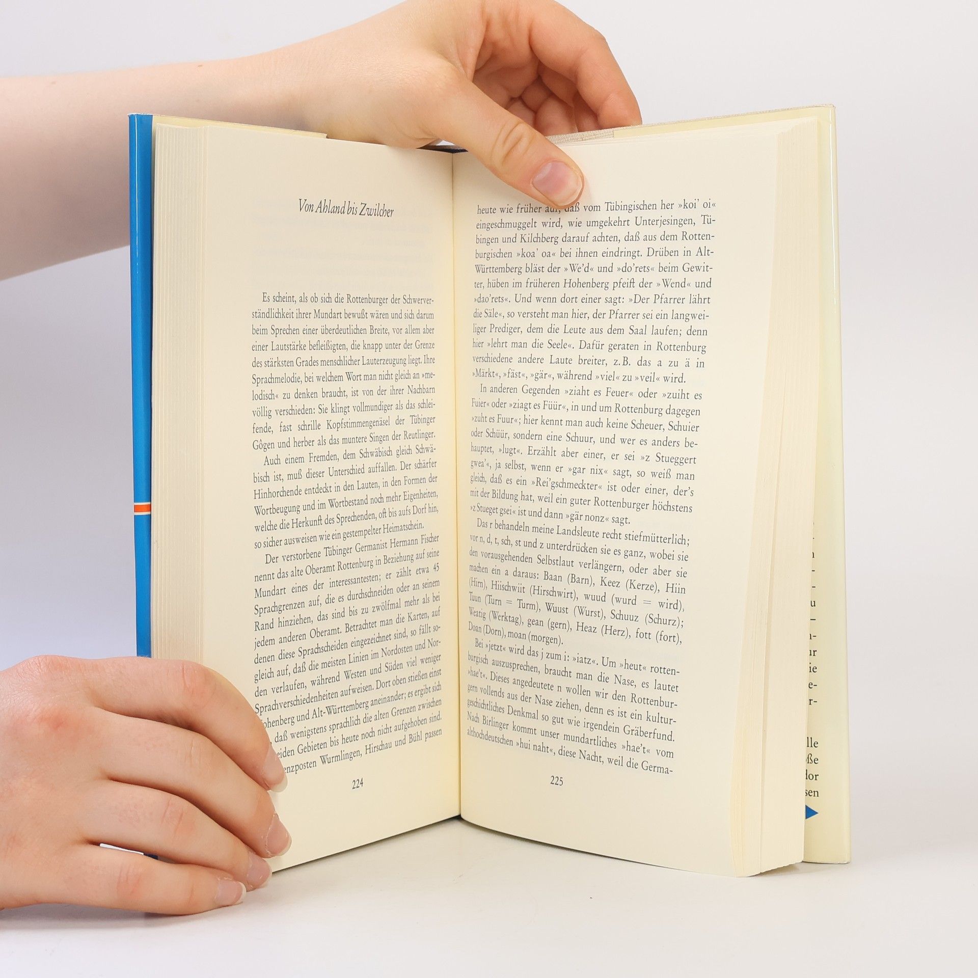Sebastian Blau Rottenburger Hauspostille