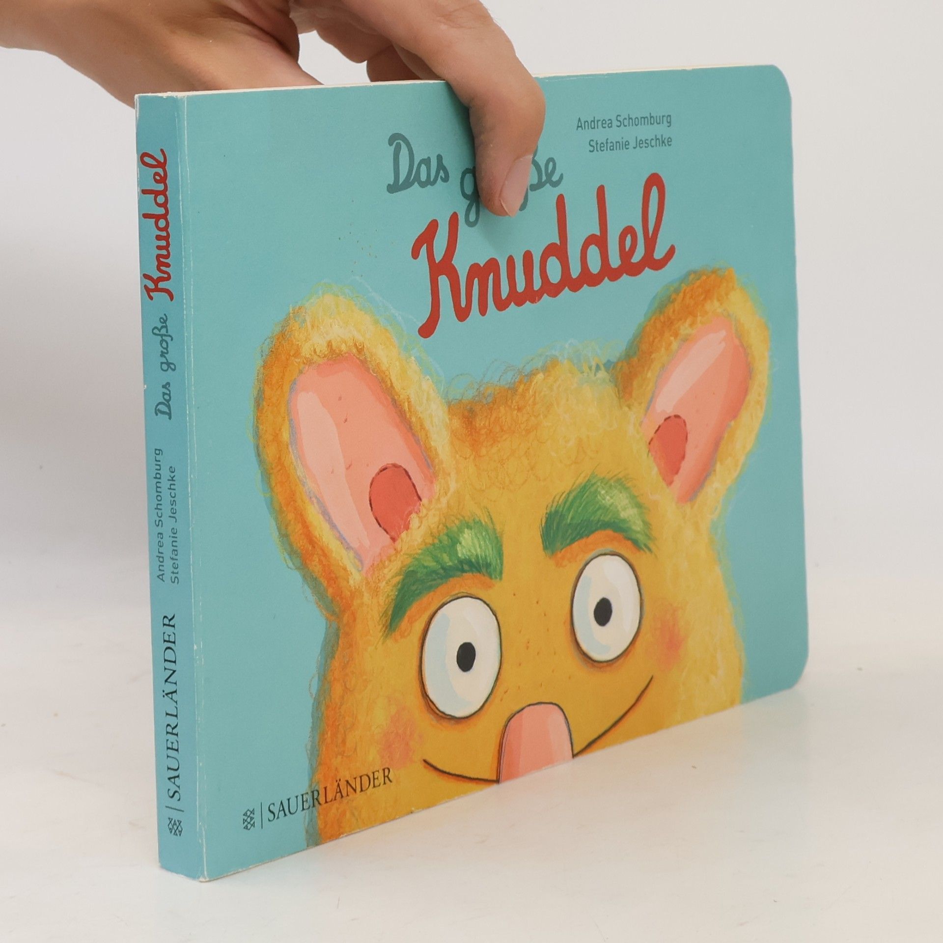 Andrea Schomburg Das große Knuddel