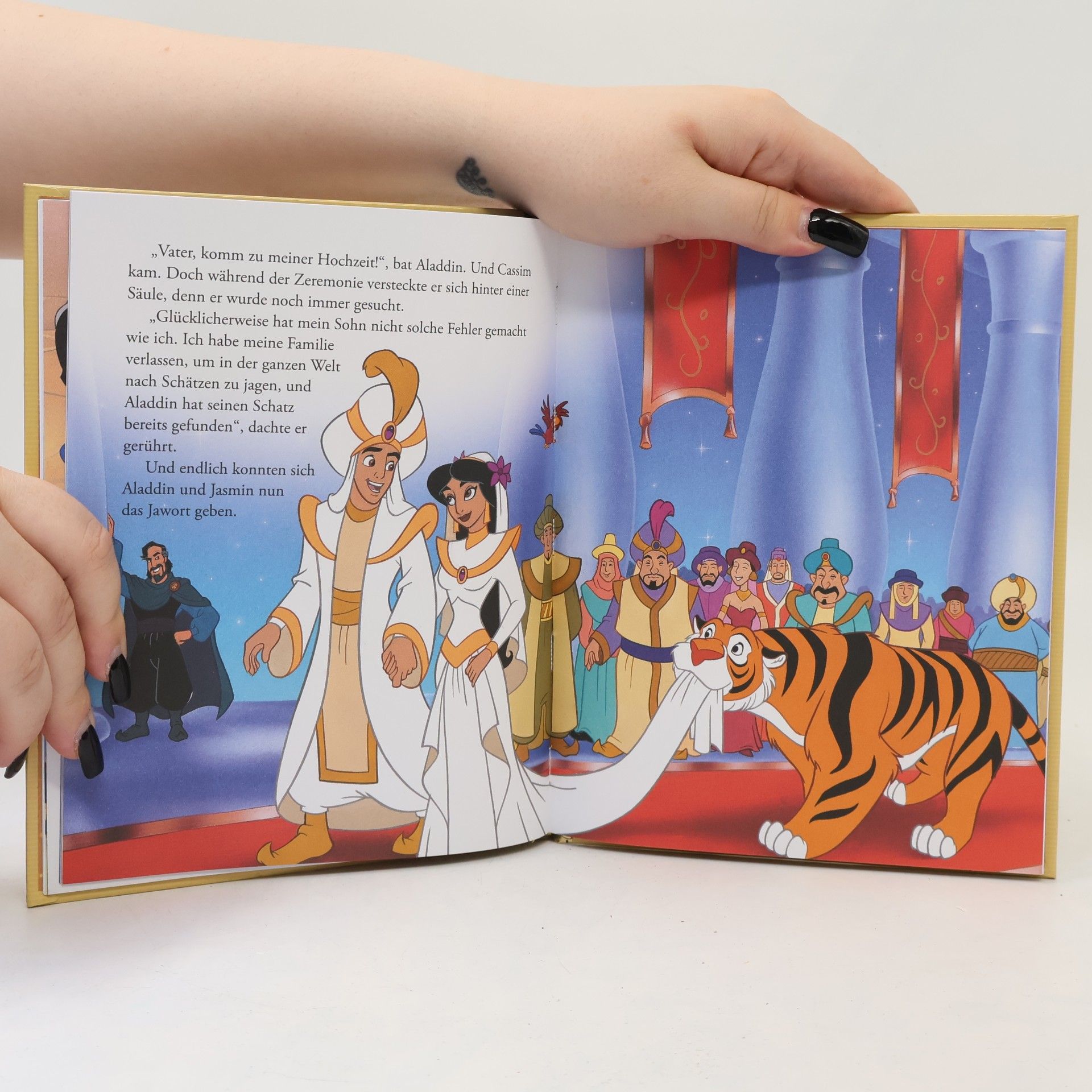 Kolektiv autorů Aladdin und der König der Diebe