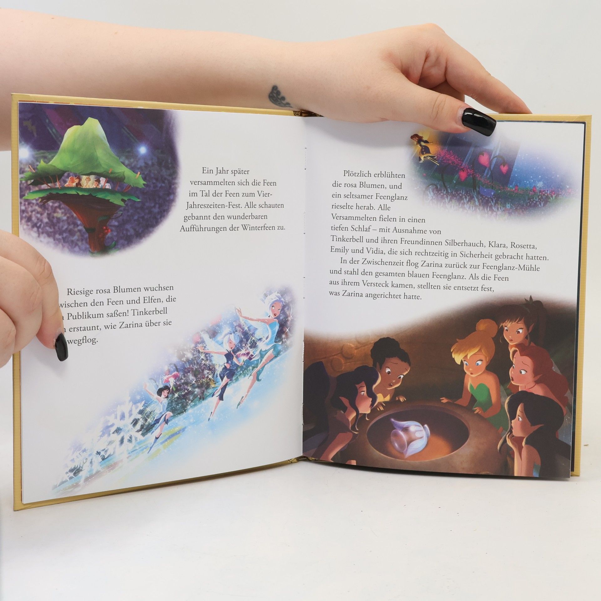 Kolektiv autorů Tinkerbell und die Piratenfee
