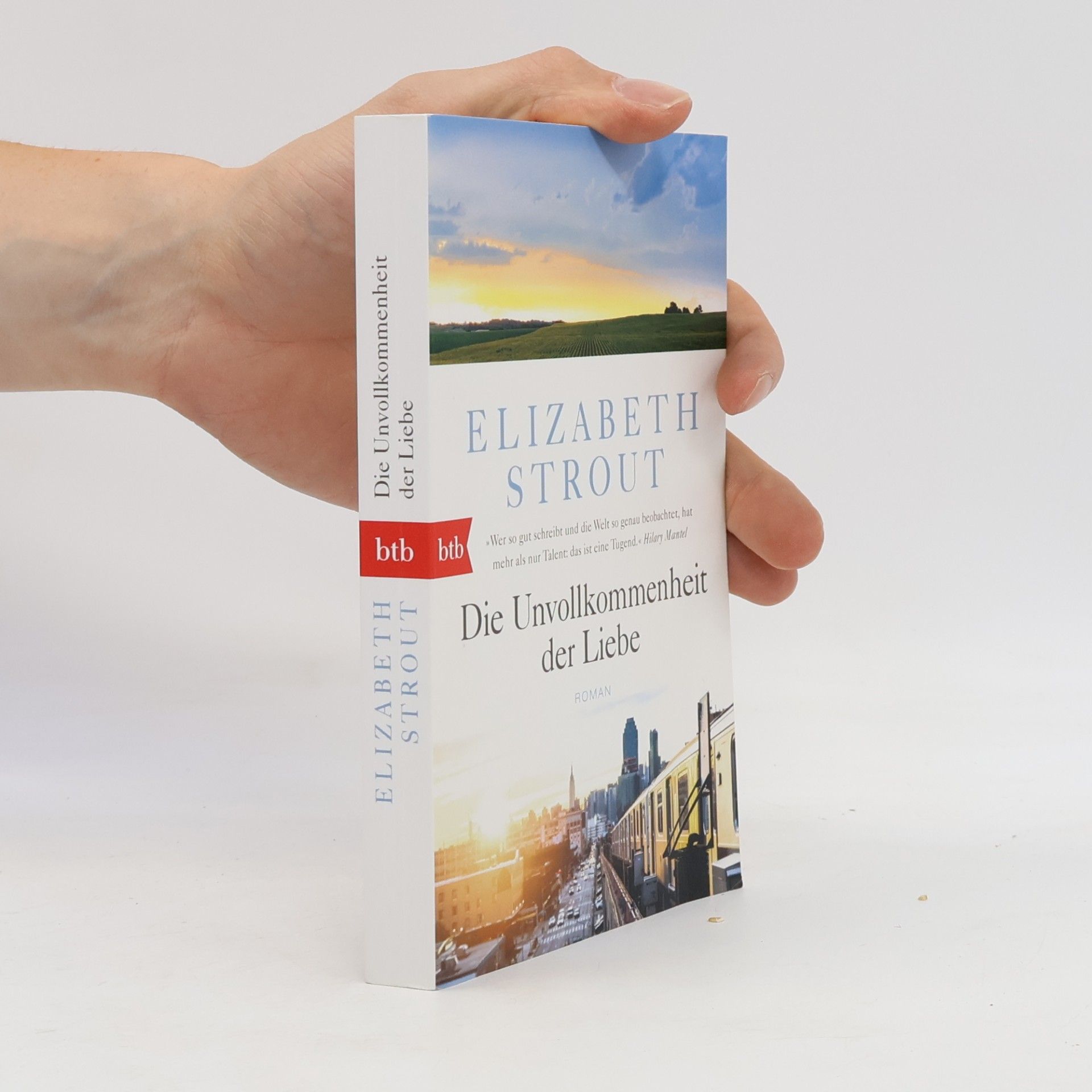 Elizabeth Strout Die Unvollkommenheit der Liebe