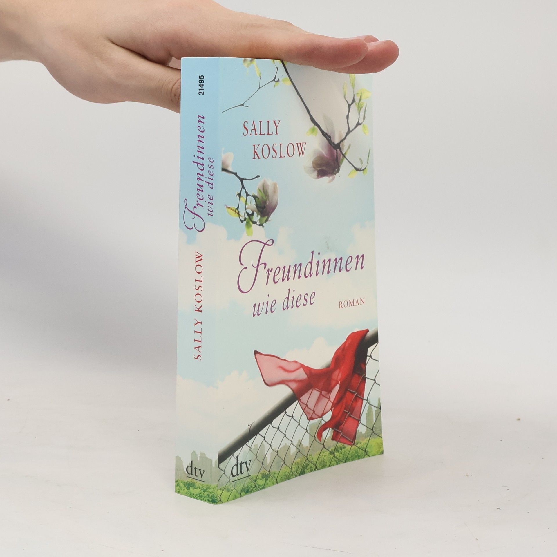 Sally Koslow Freundinnen wie diese