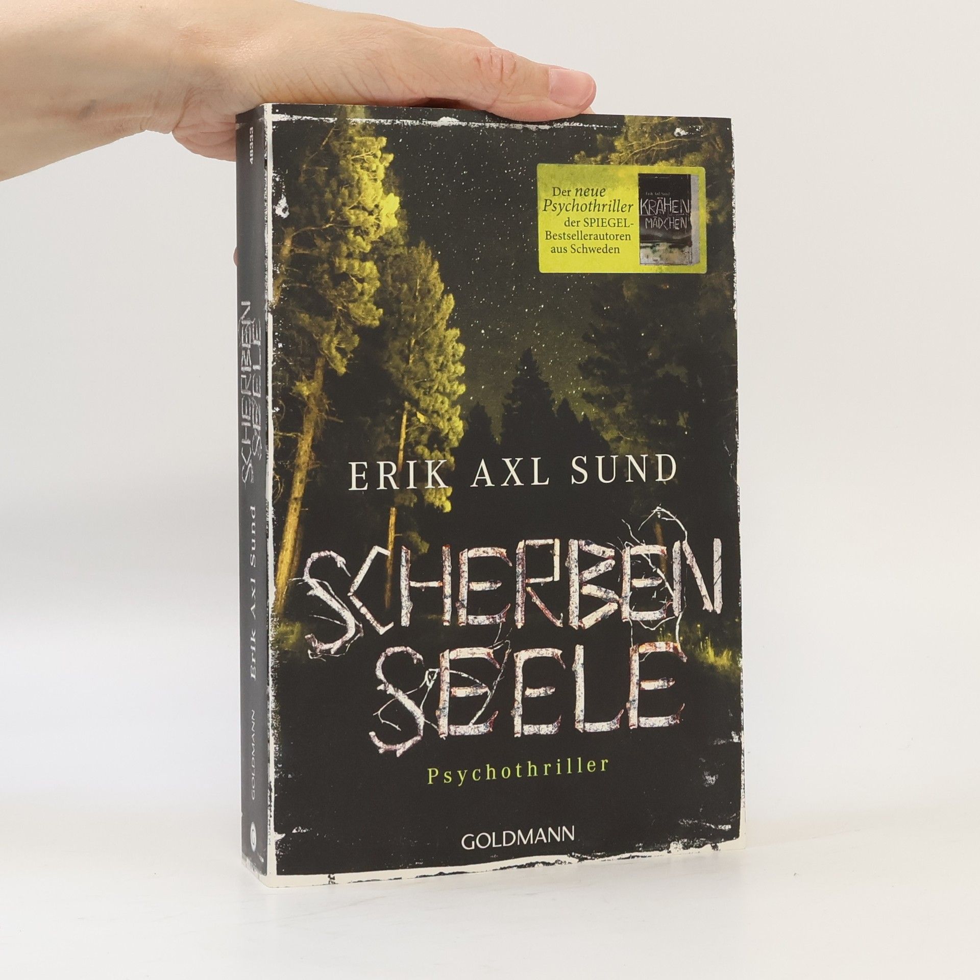 Erik Axl Sund Scherbenseele
