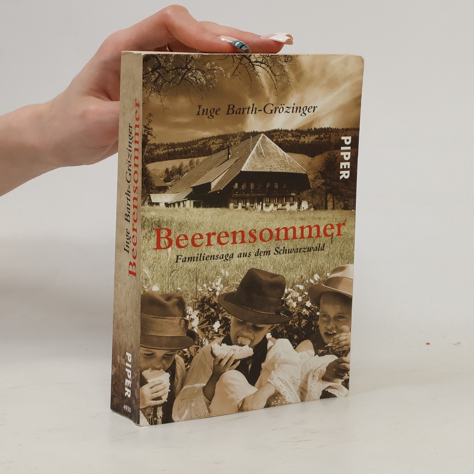 Inge Barth-Grözinger Beerensommer