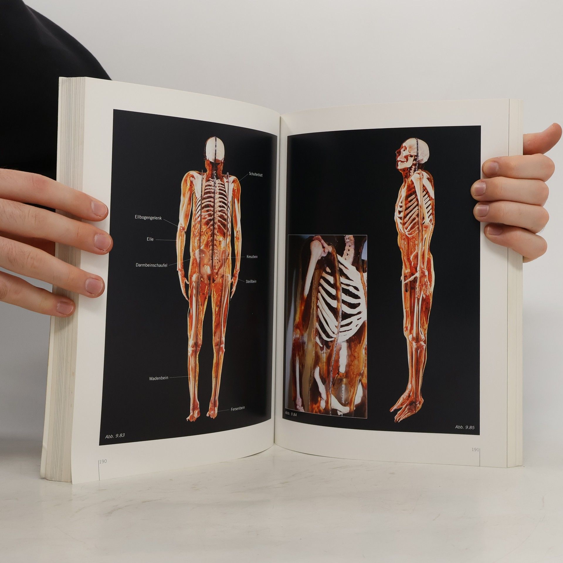 Guther von Hagens Korperwelten