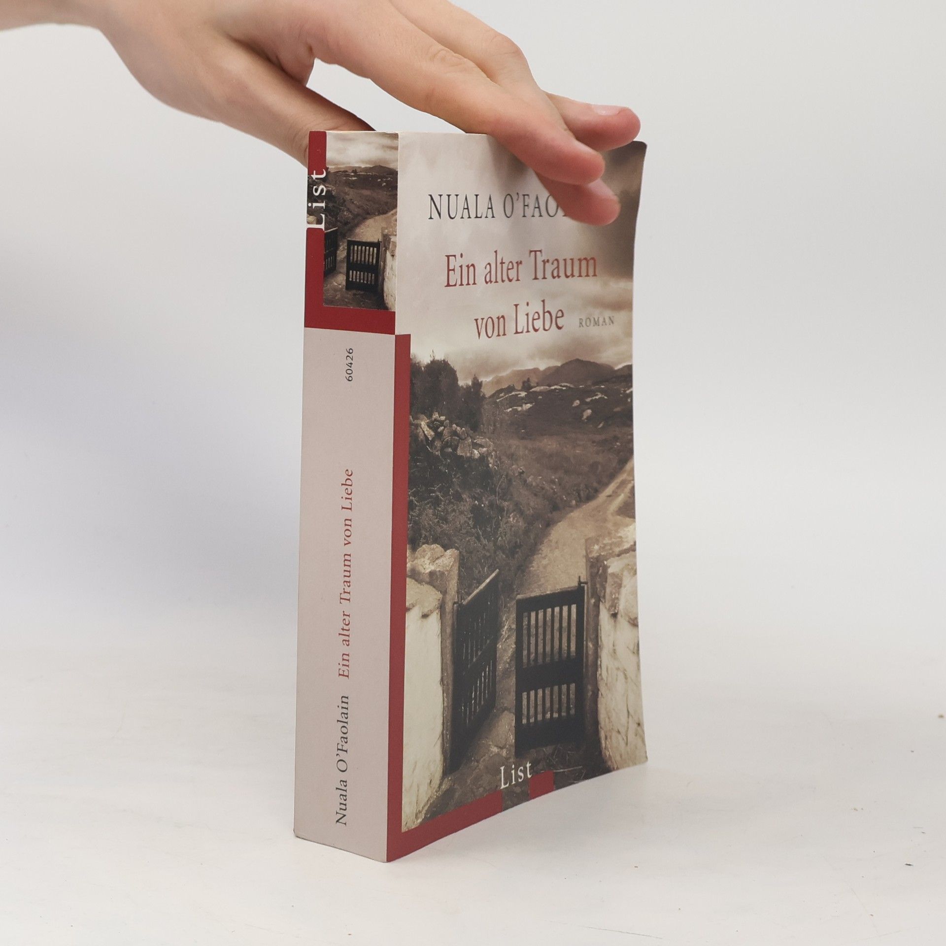 Nuala O. Faolain Ein alter Traum von Liebe