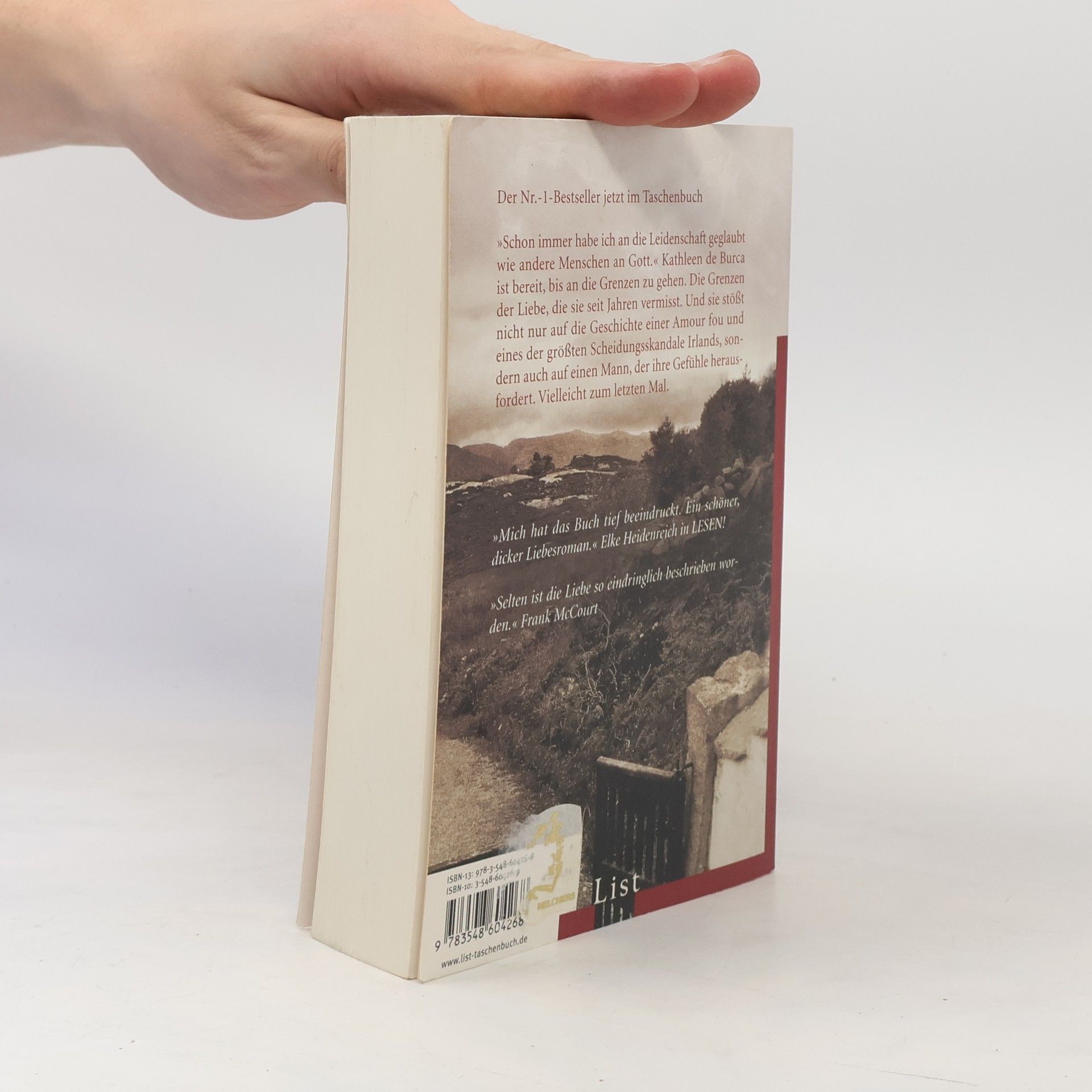 Nuala O. Faolain Ein alter Traum von Liebe