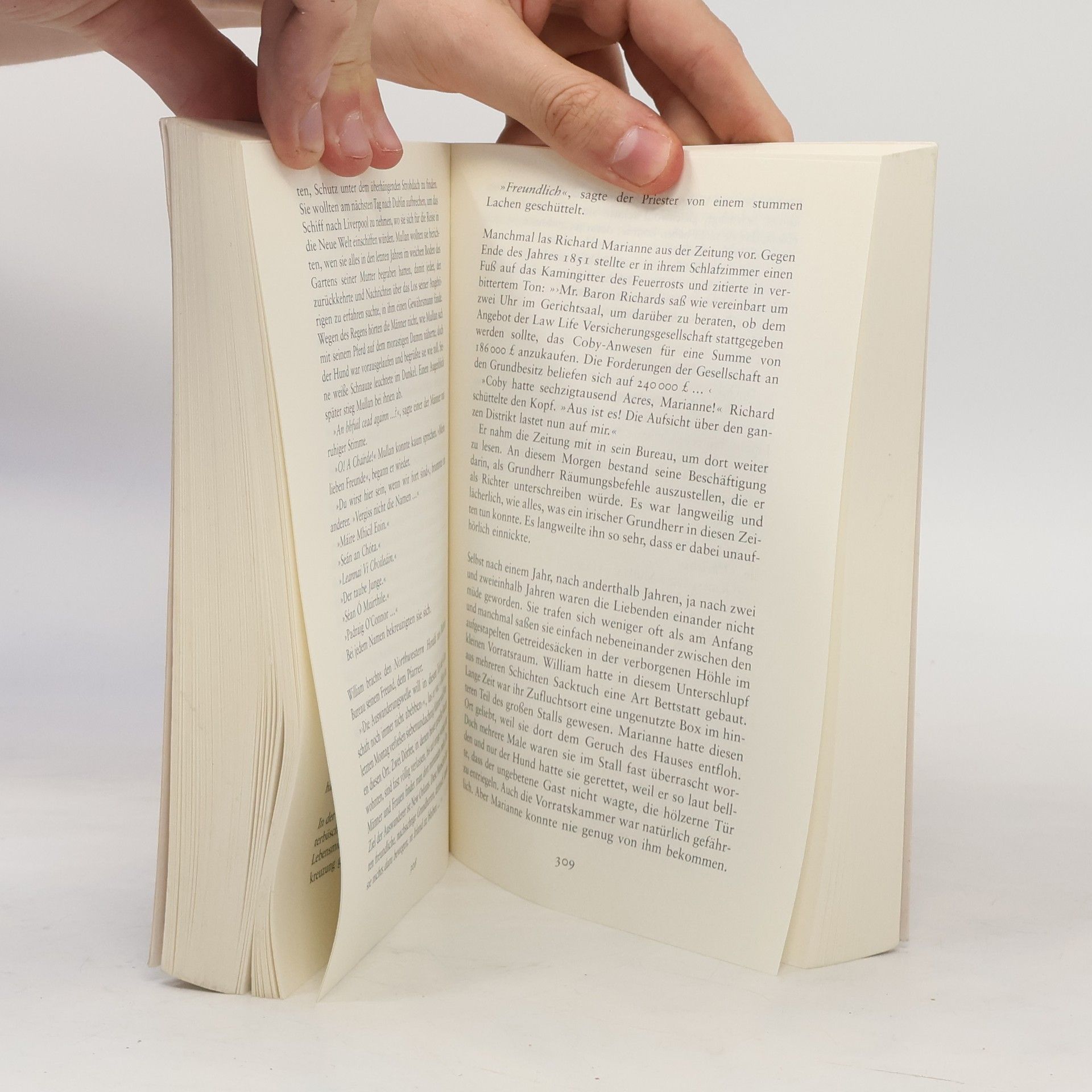 Nuala O. Faolain Ein alter Traum von Liebe