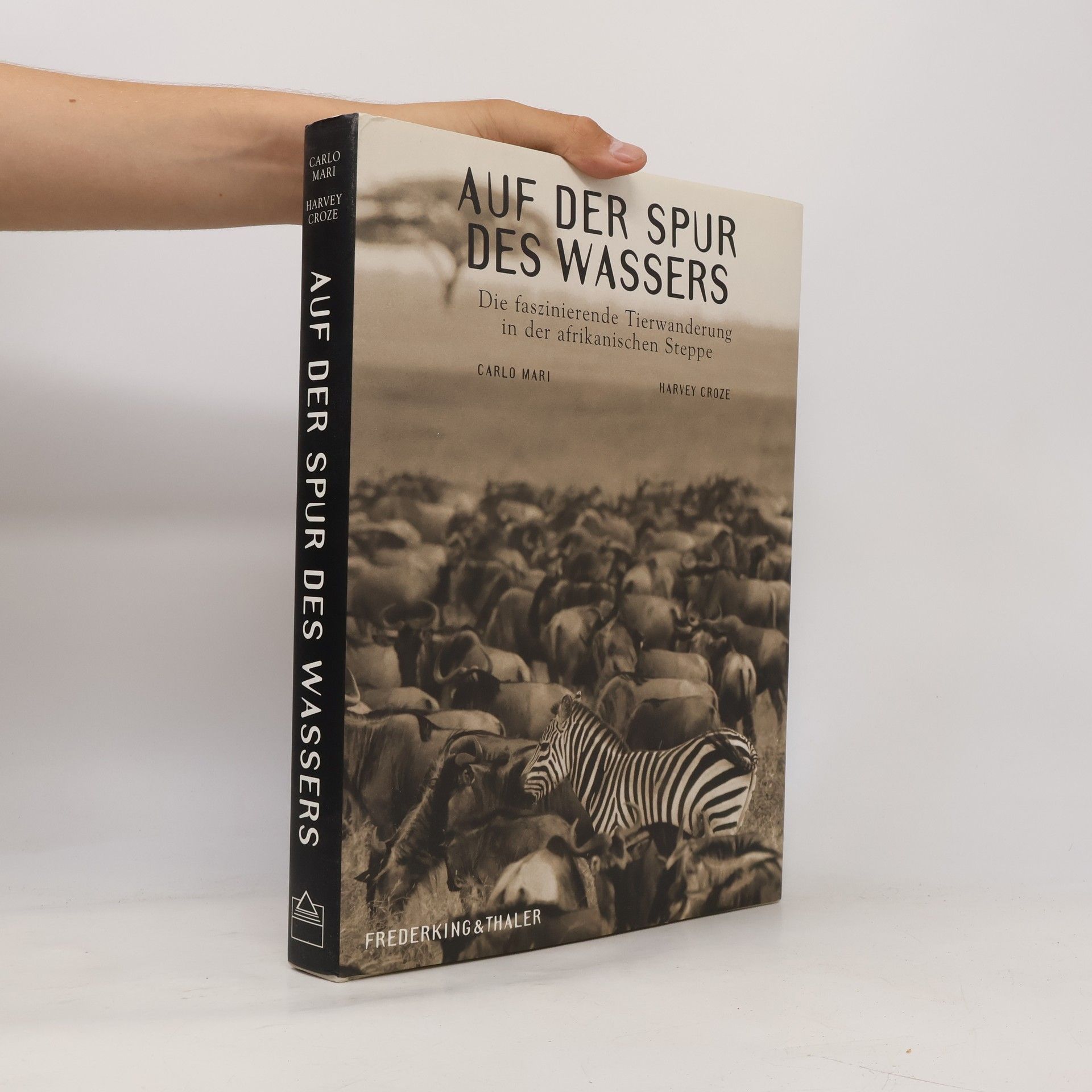 Carlo Mari Auf der Spur des Wassers