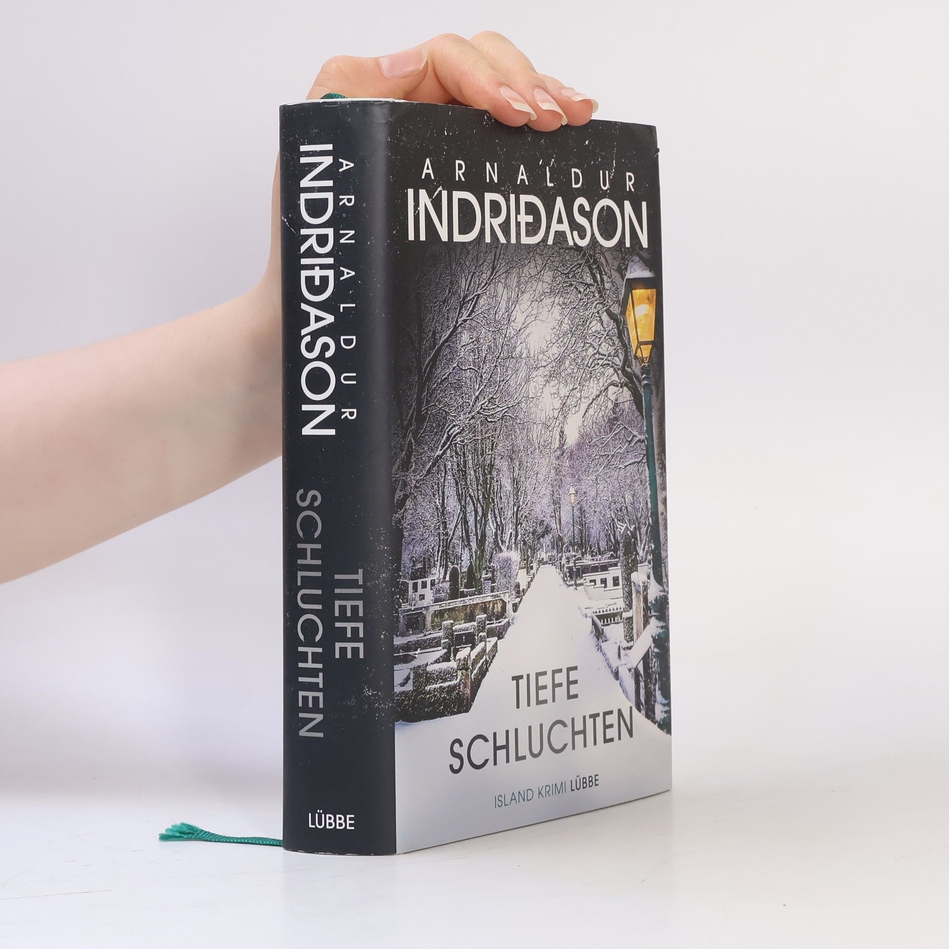 Arnaldur Indridason Tiefe Schluchten