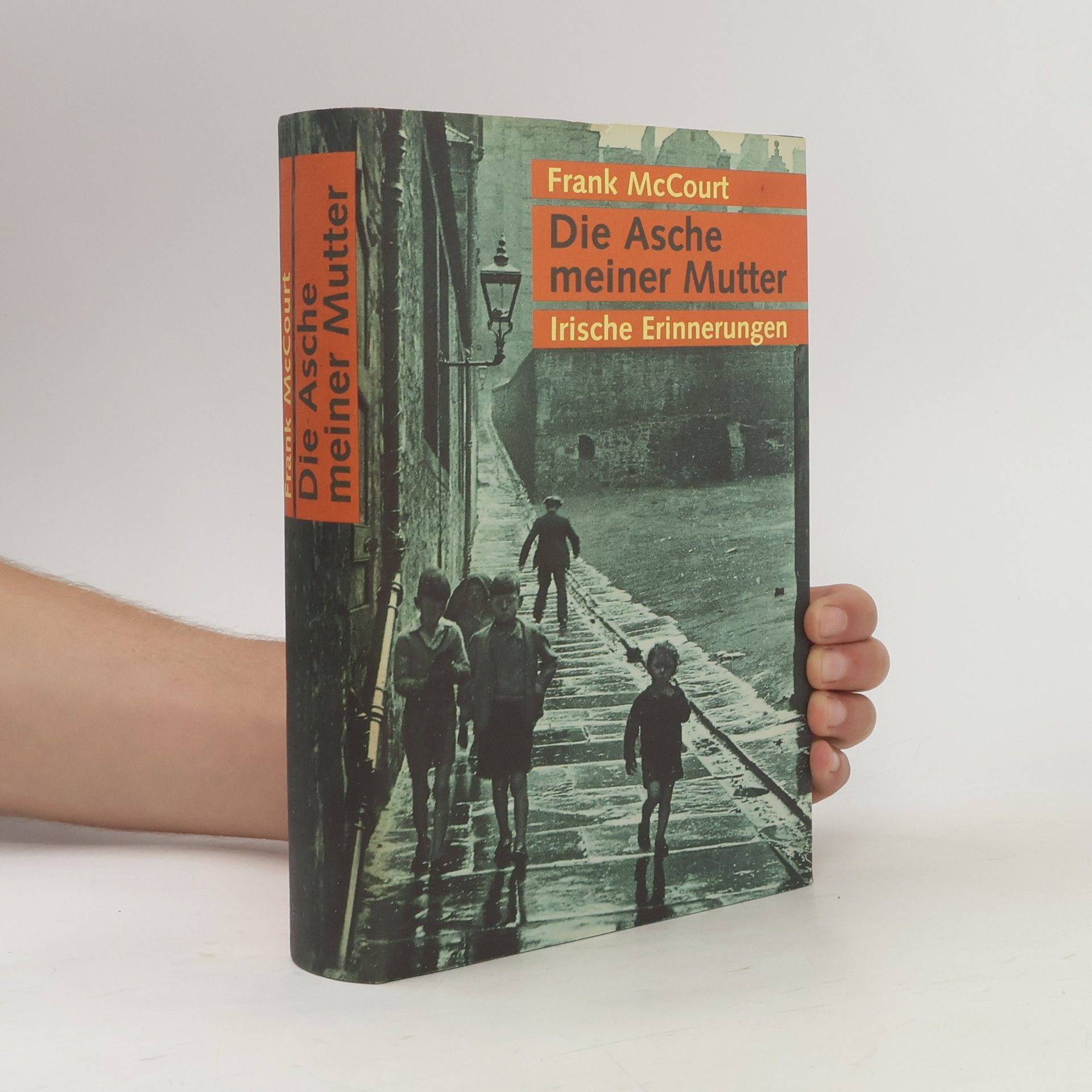 Frank McCourt Die Asche meiner Mutter