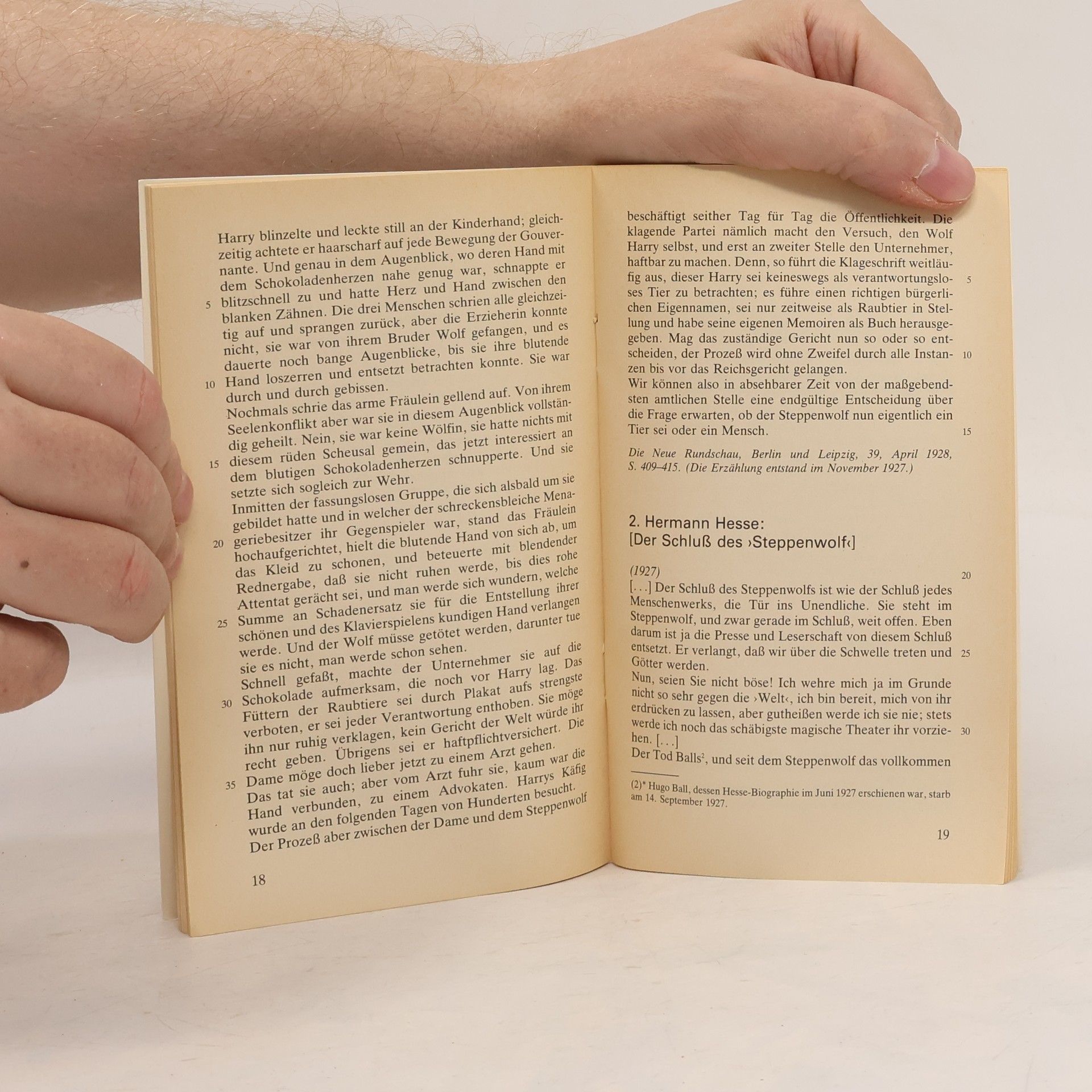 Martin Pfeifer Materialien Hermann Hesse. Der Steppenwolf