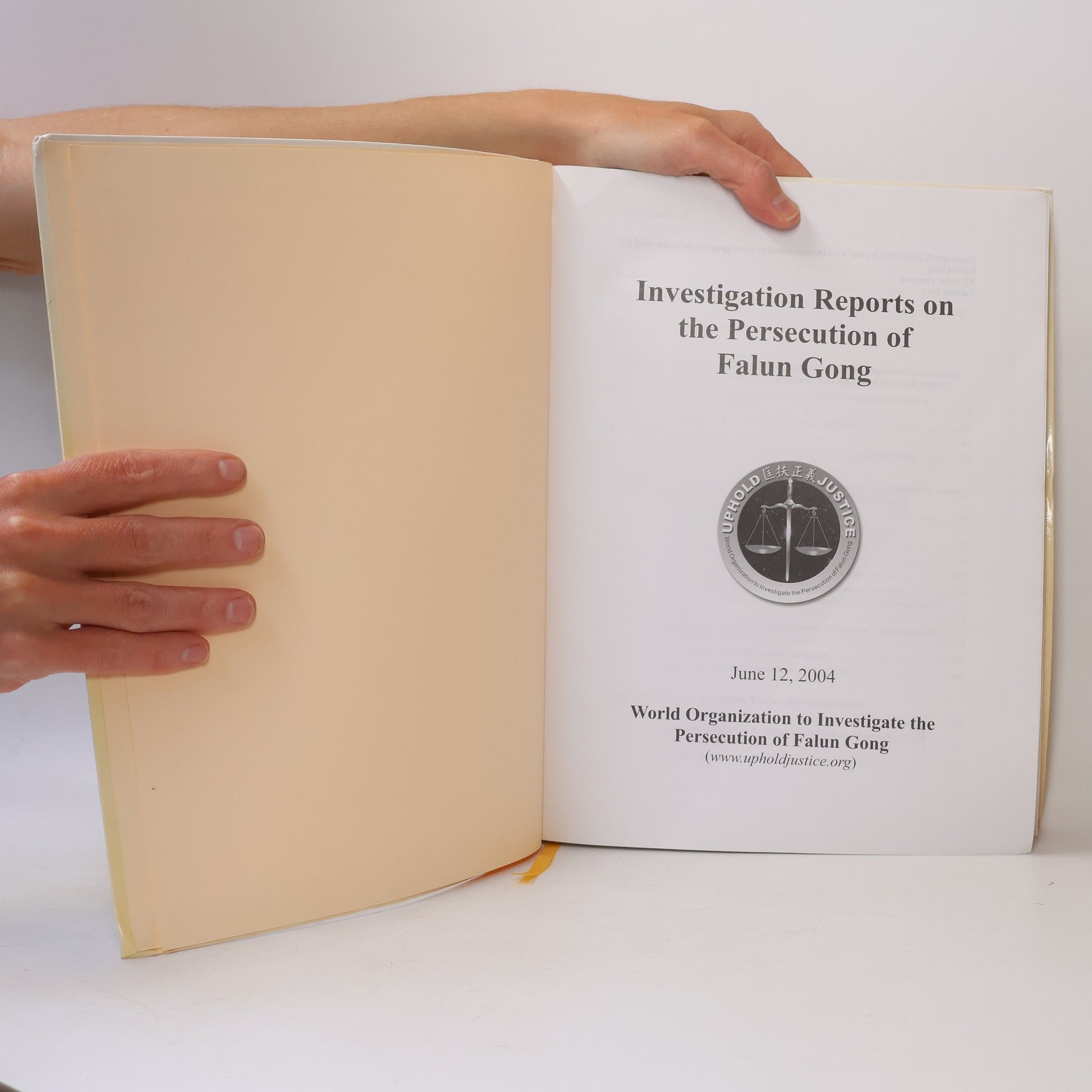 Autorenkollektiv Investigation Reports on the Persecution of Falun Gong I.