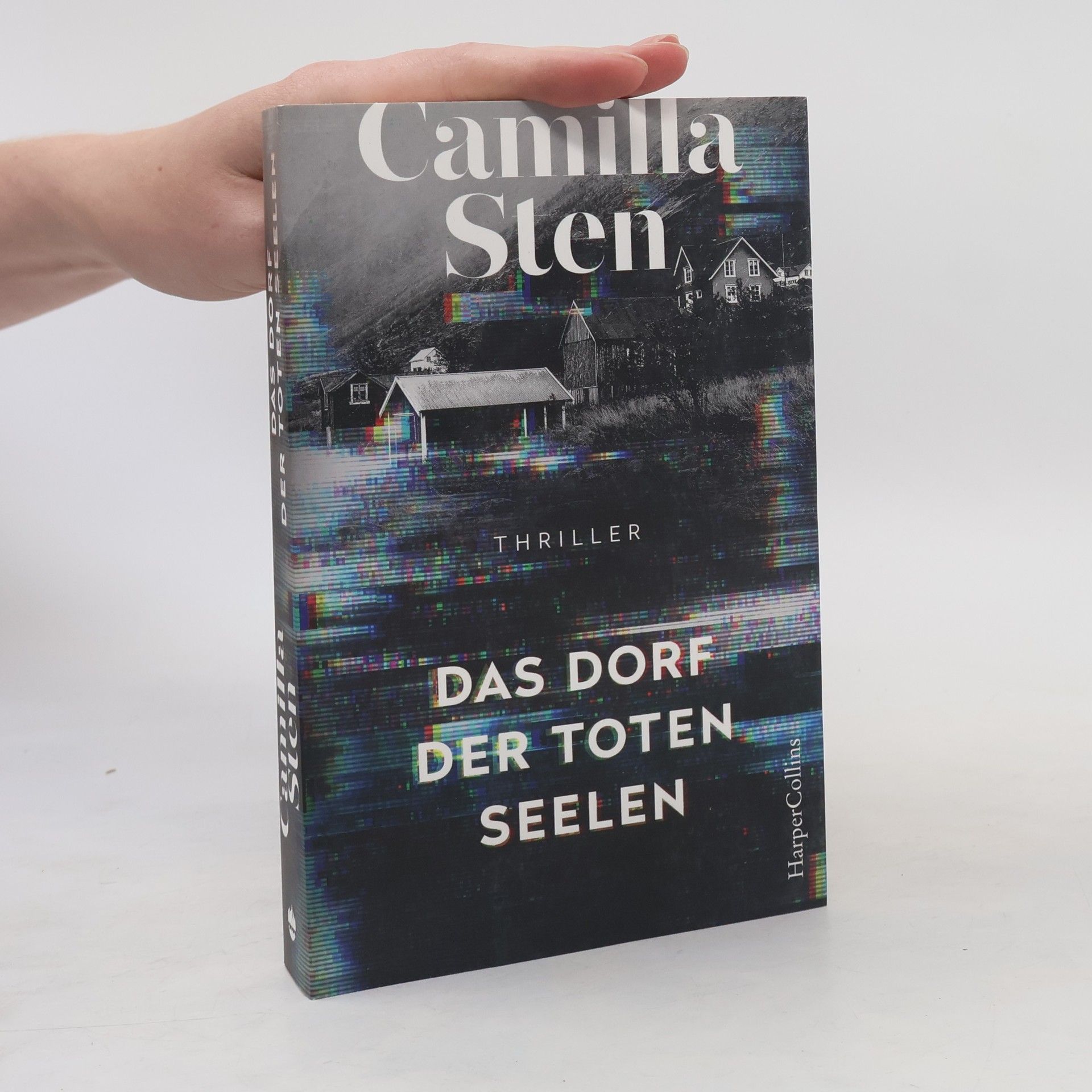 Camilla Sten Das Dorf der toten Seelen
