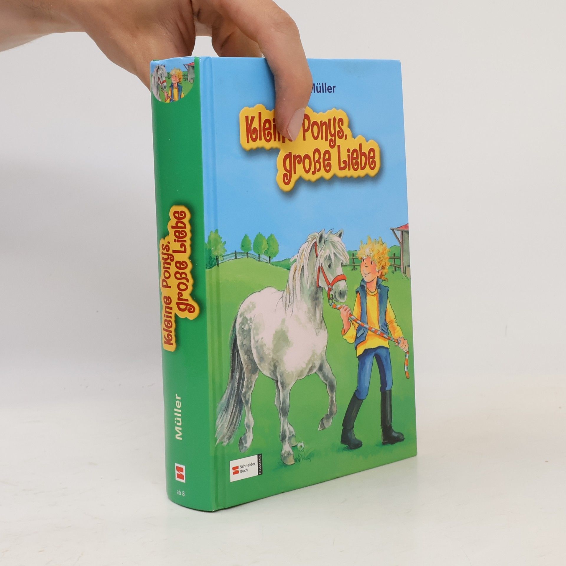 Karin Müller Kleine Ponys, große Liebe