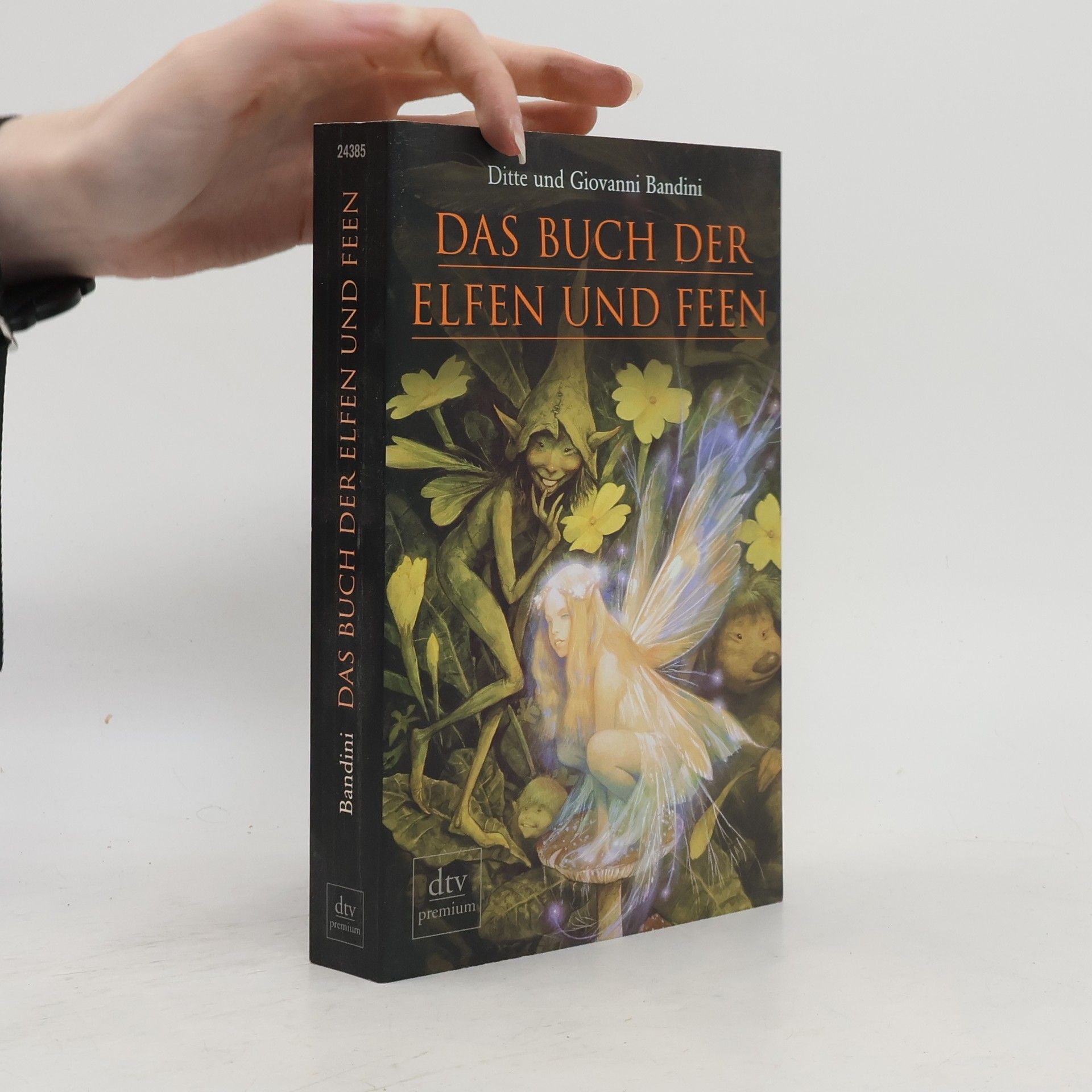 Ditte Bandini Das Buch der Elfen und Feen