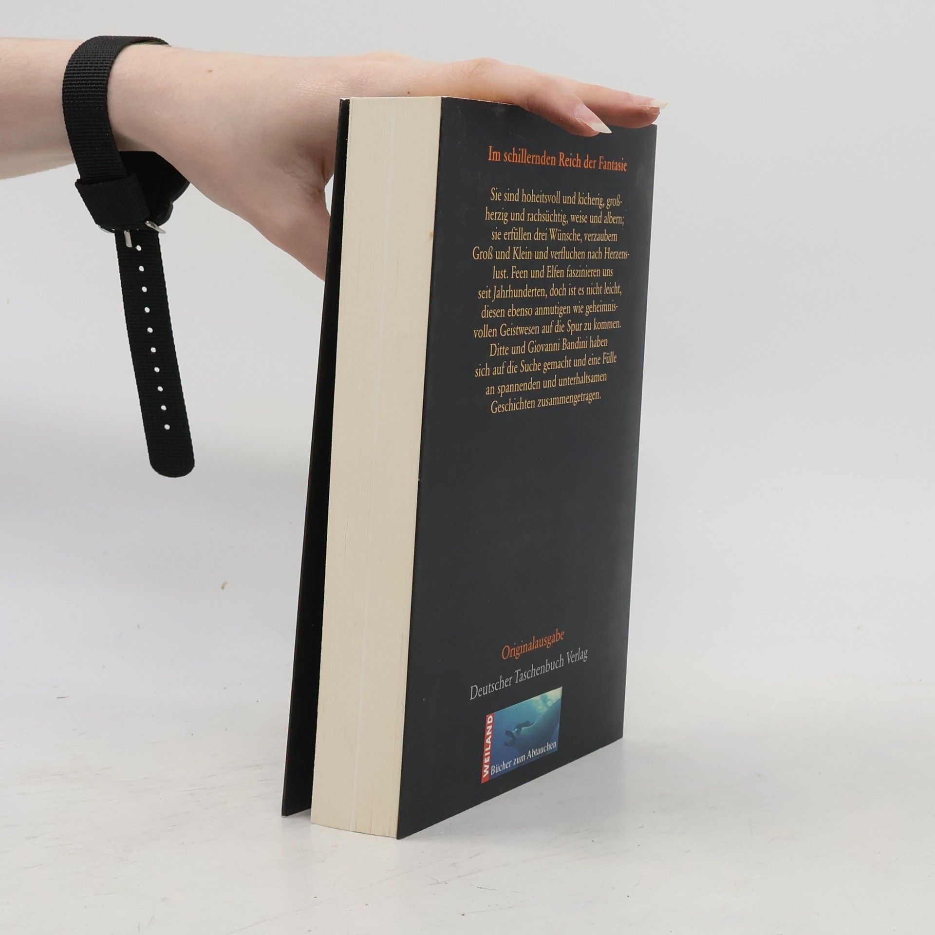 Ditte Bandini Das Buch der Elfen und Feen