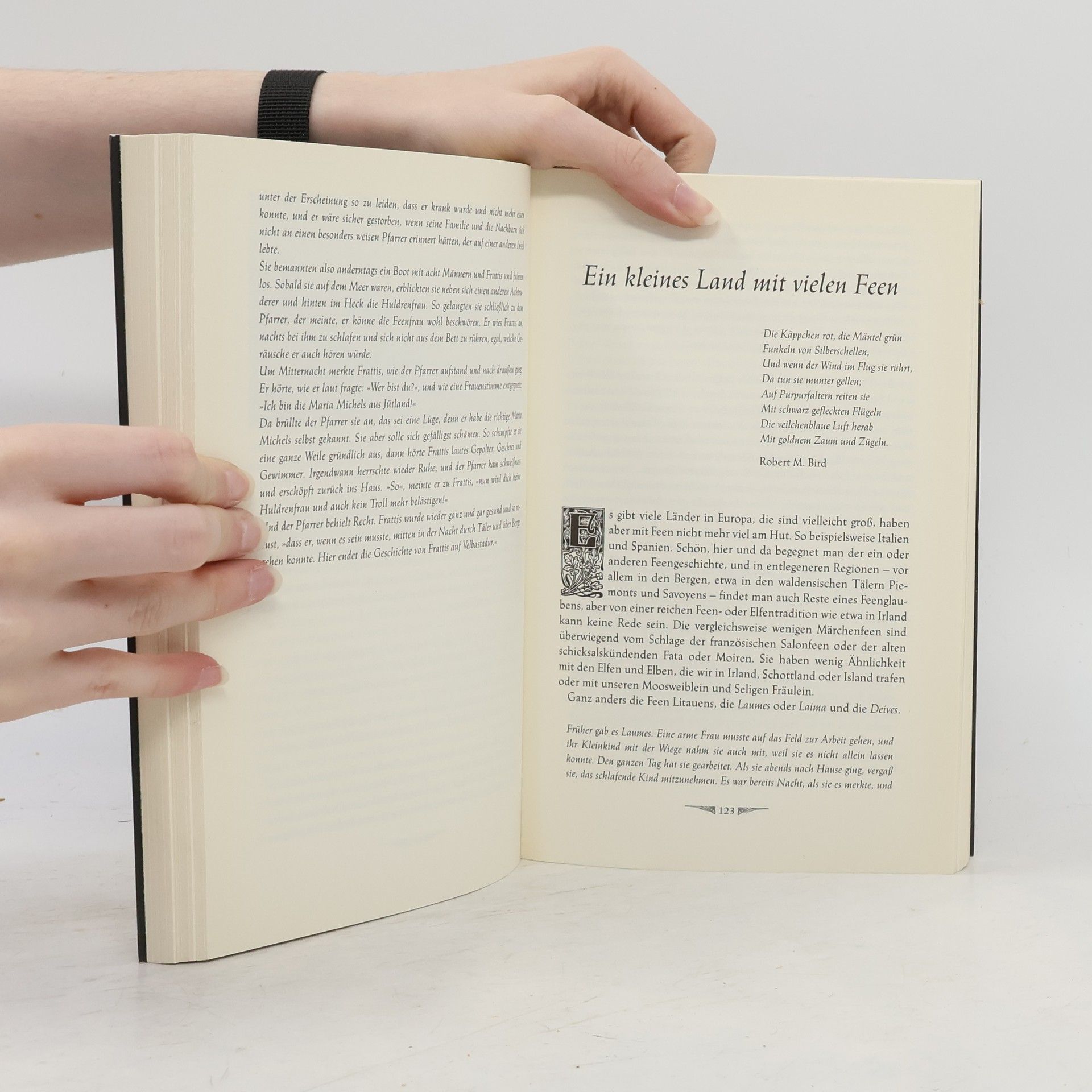 Ditte Bandini Das Buch der Elfen und Feen