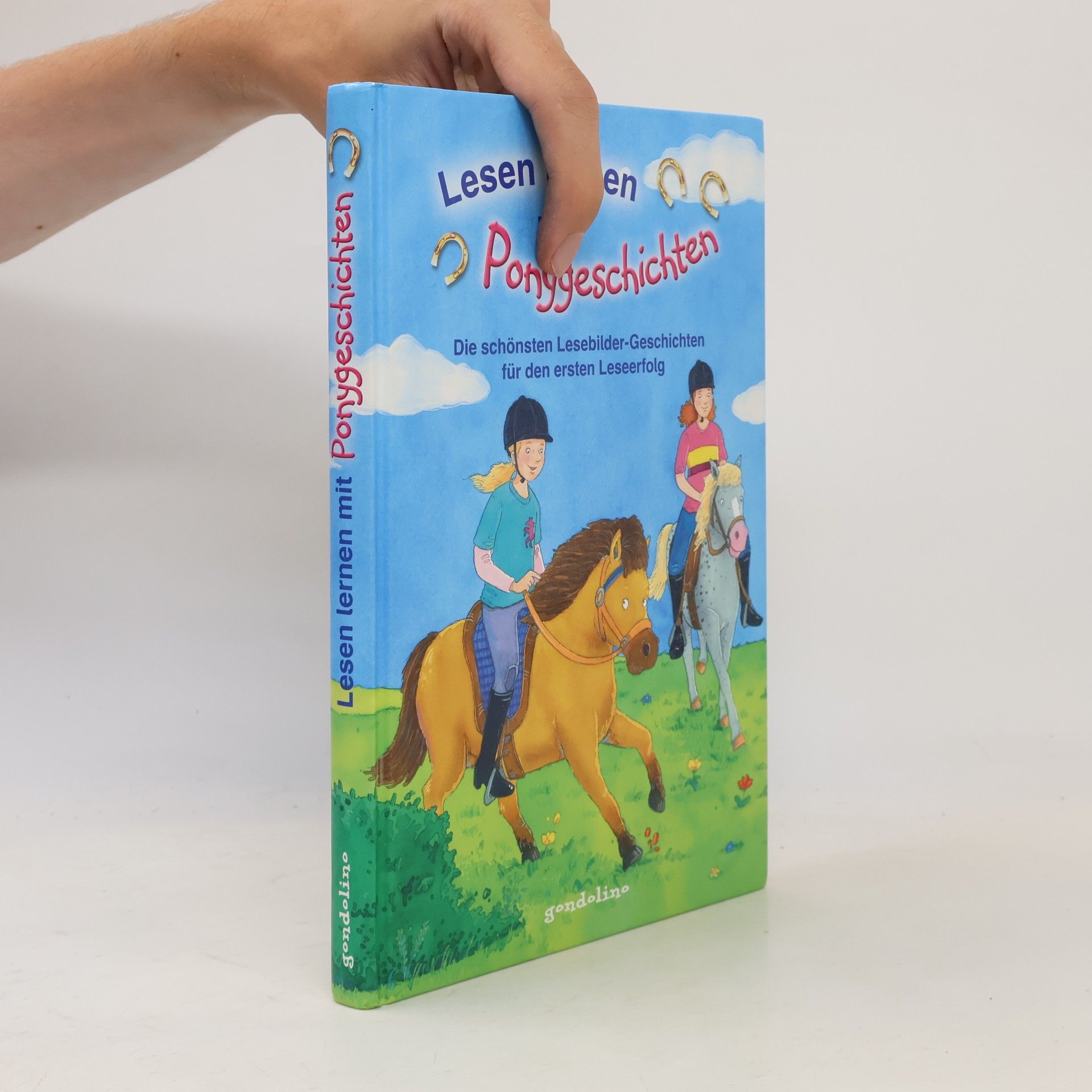 Collectif d'auteurs Lesen lernen mit Ponygeschichten