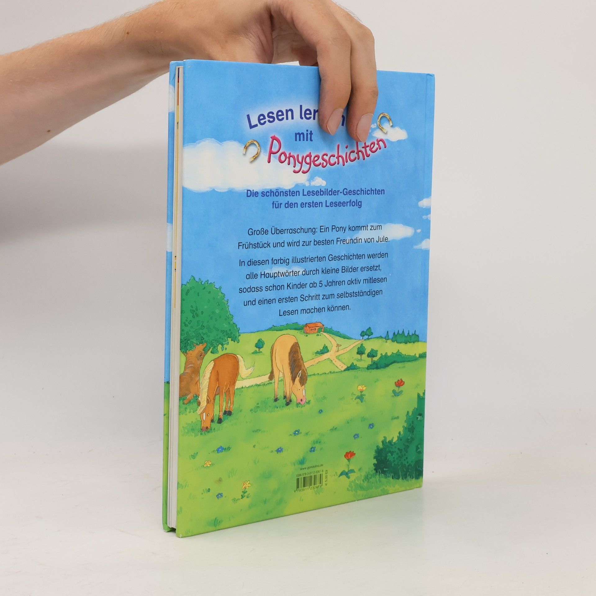 Lesen lernen mit Ponygeschichten