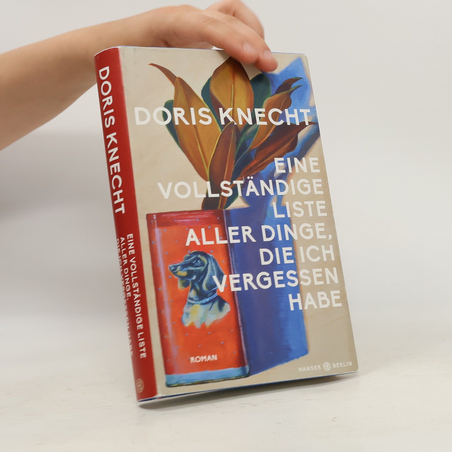 Doris Knecht Eine vollständige Liste aller Dinge, die ich vergessen habe