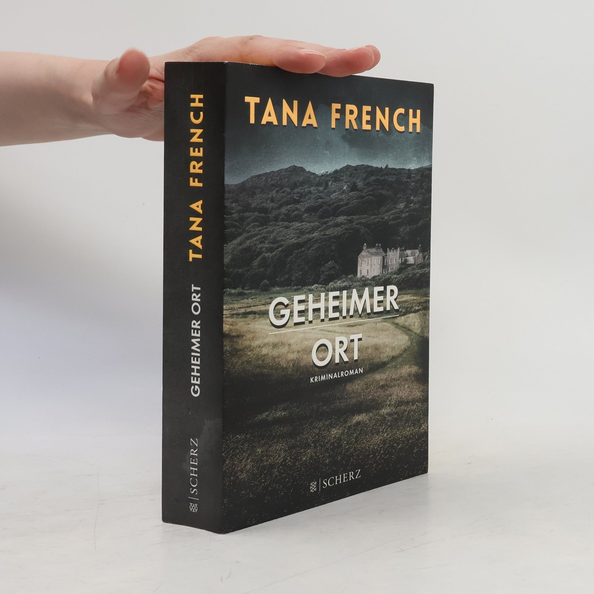 Tana Frenchová Geheimer Ort