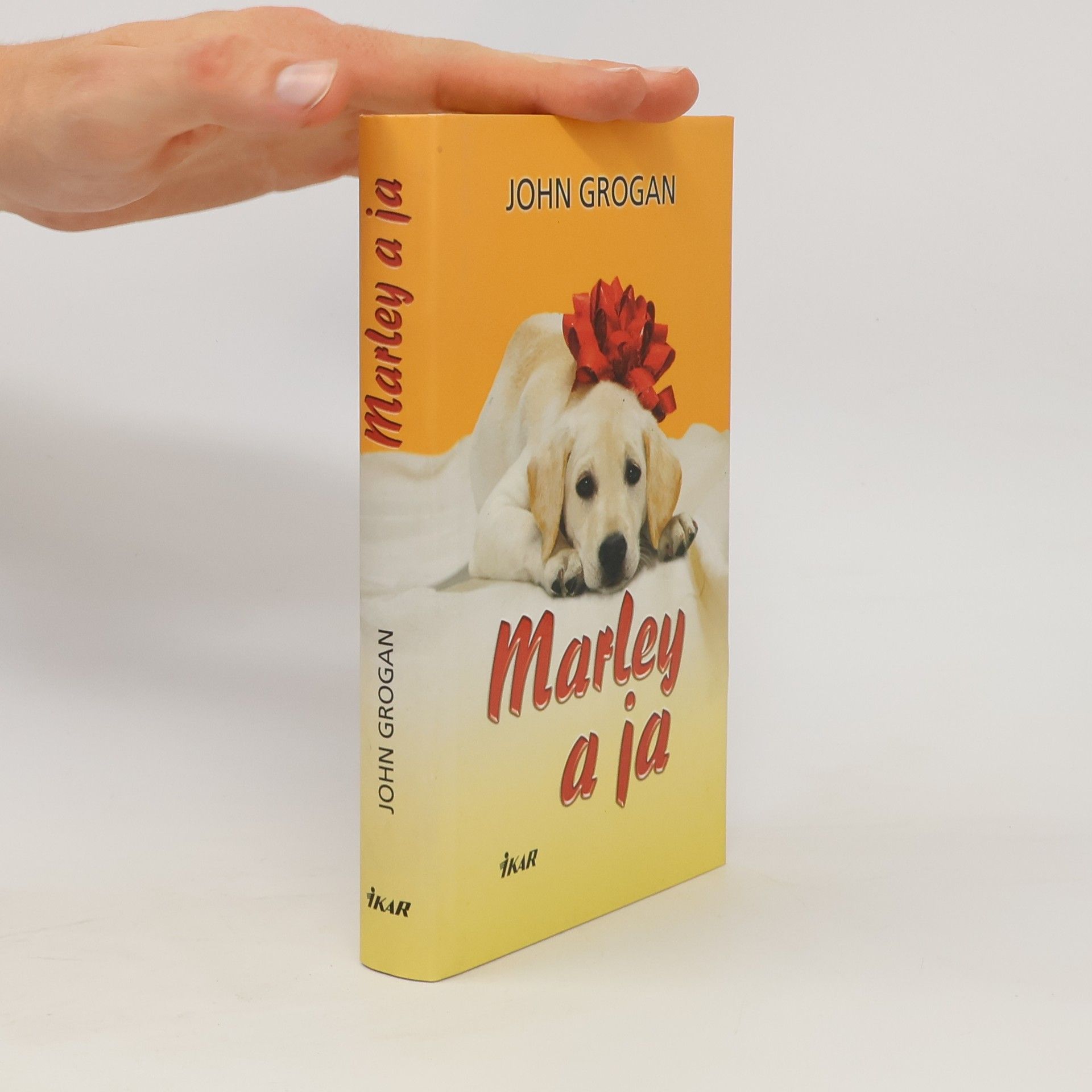 John Grogan Marley a ja