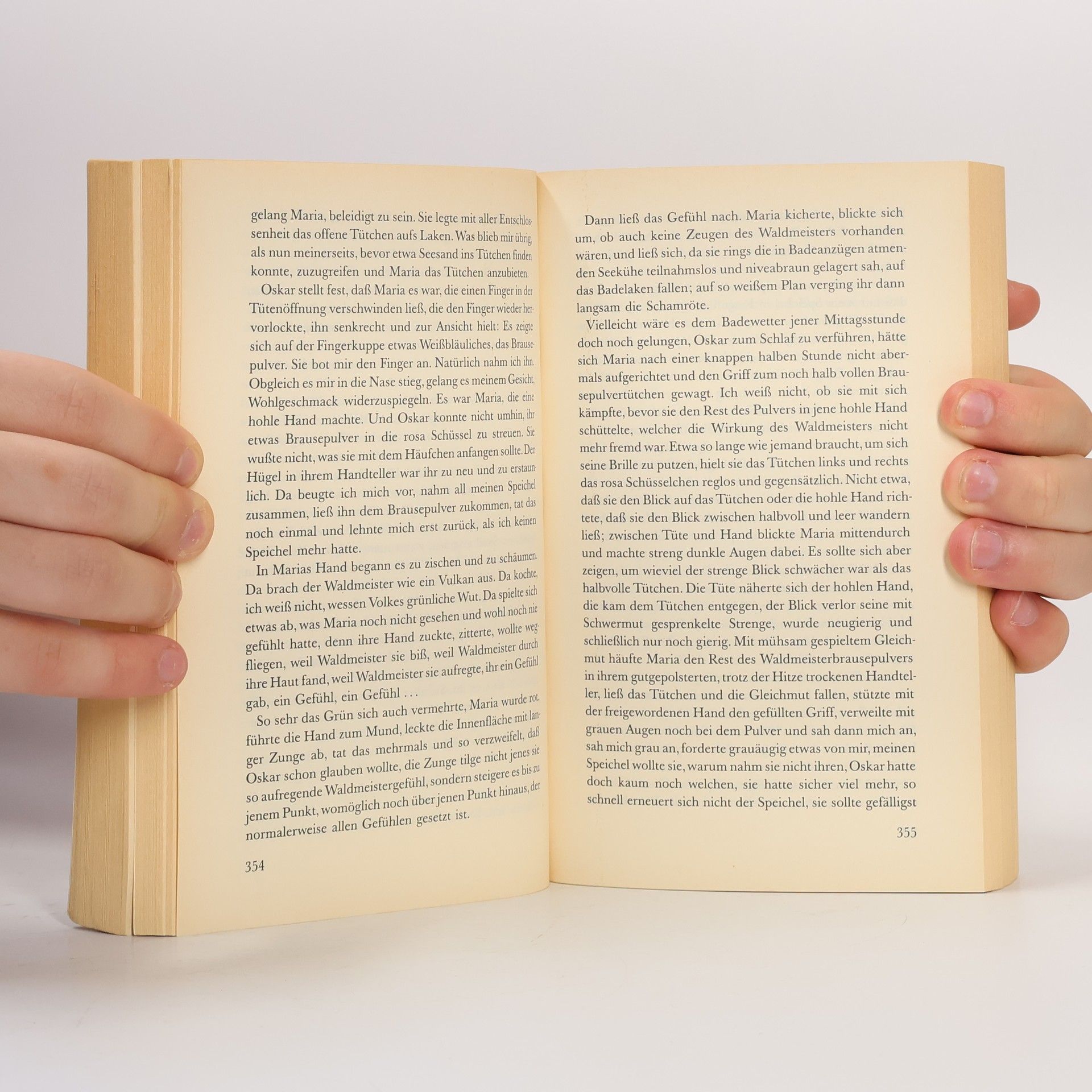 Günter Grass Die Blechtrommel: Roman
