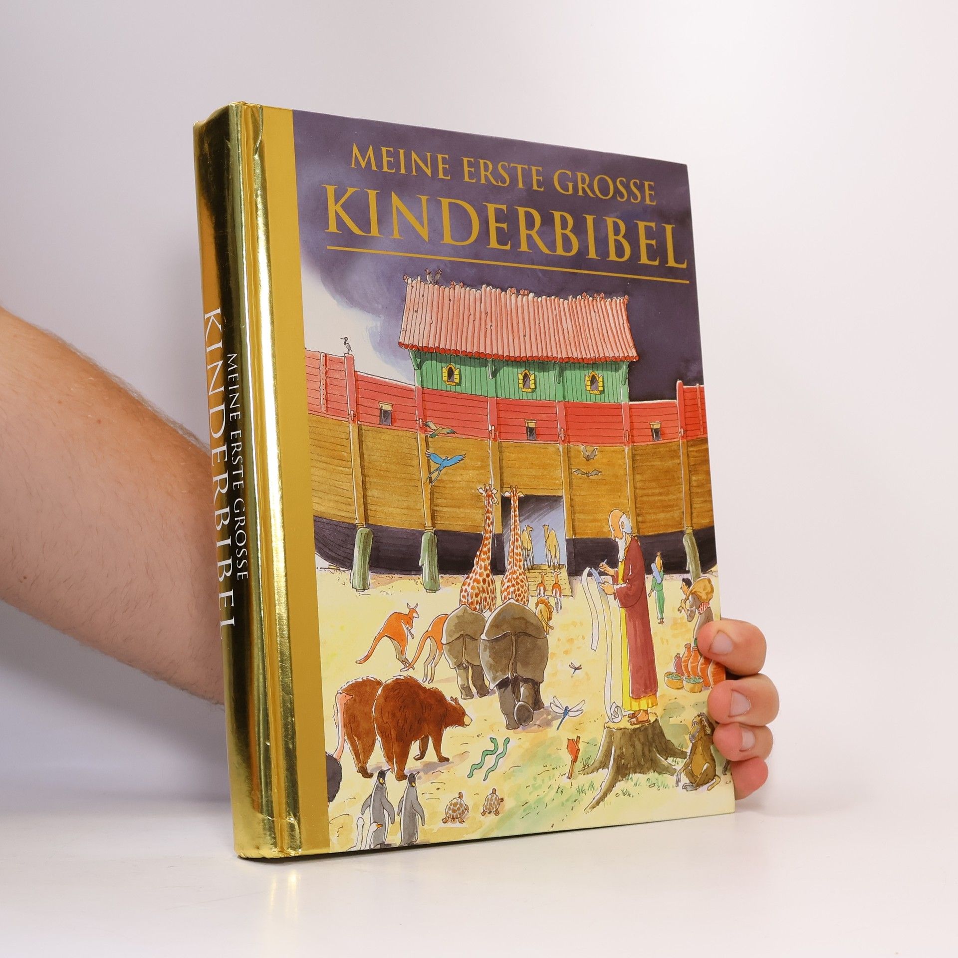 Kolektív autorov Meine erste grosse Kinderbibel