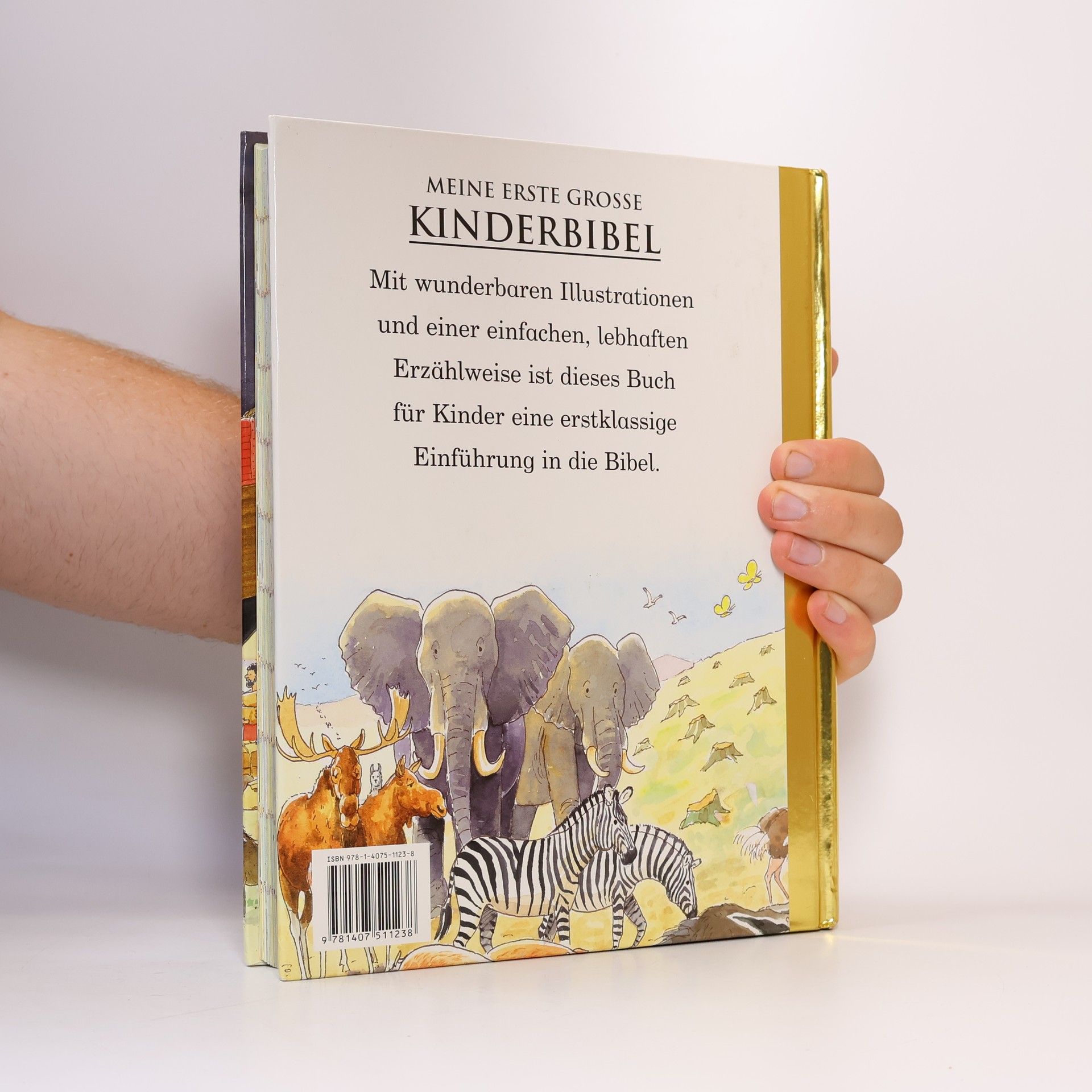 Kolektív autorov Meine erste grosse Kinderbibel
