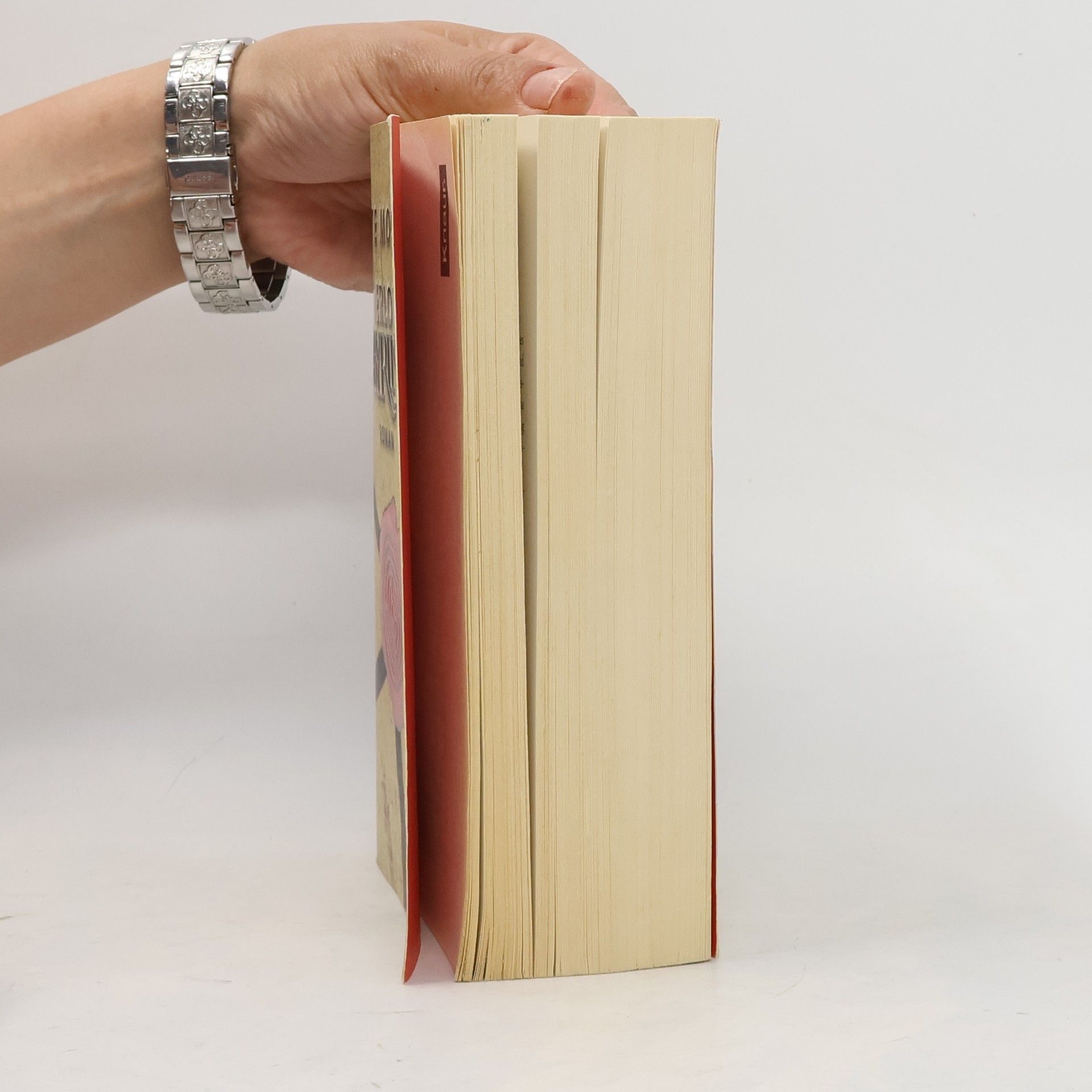 Kate Mosse Das verlorene Labyrinth