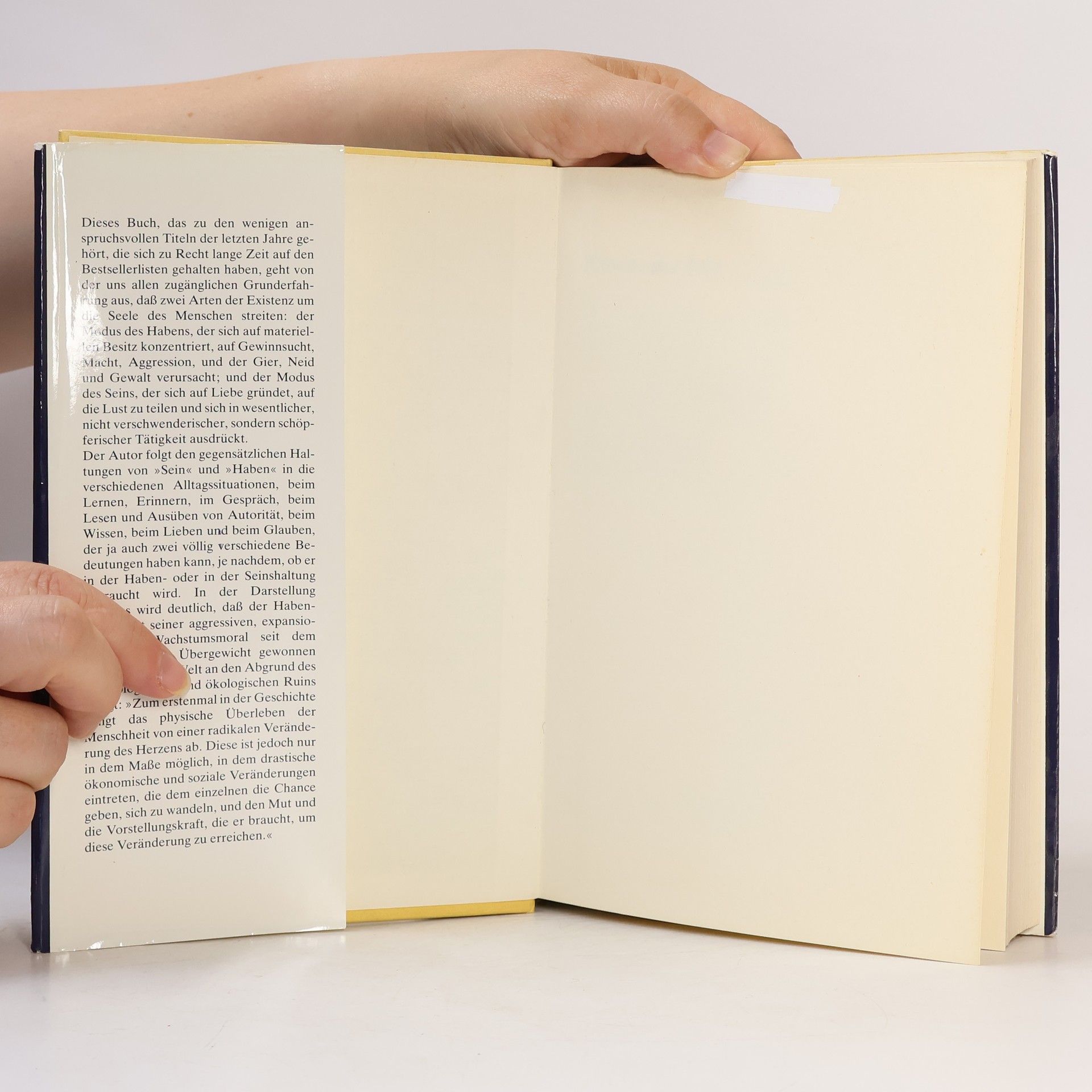 Erich Fromm Haben oder Sein