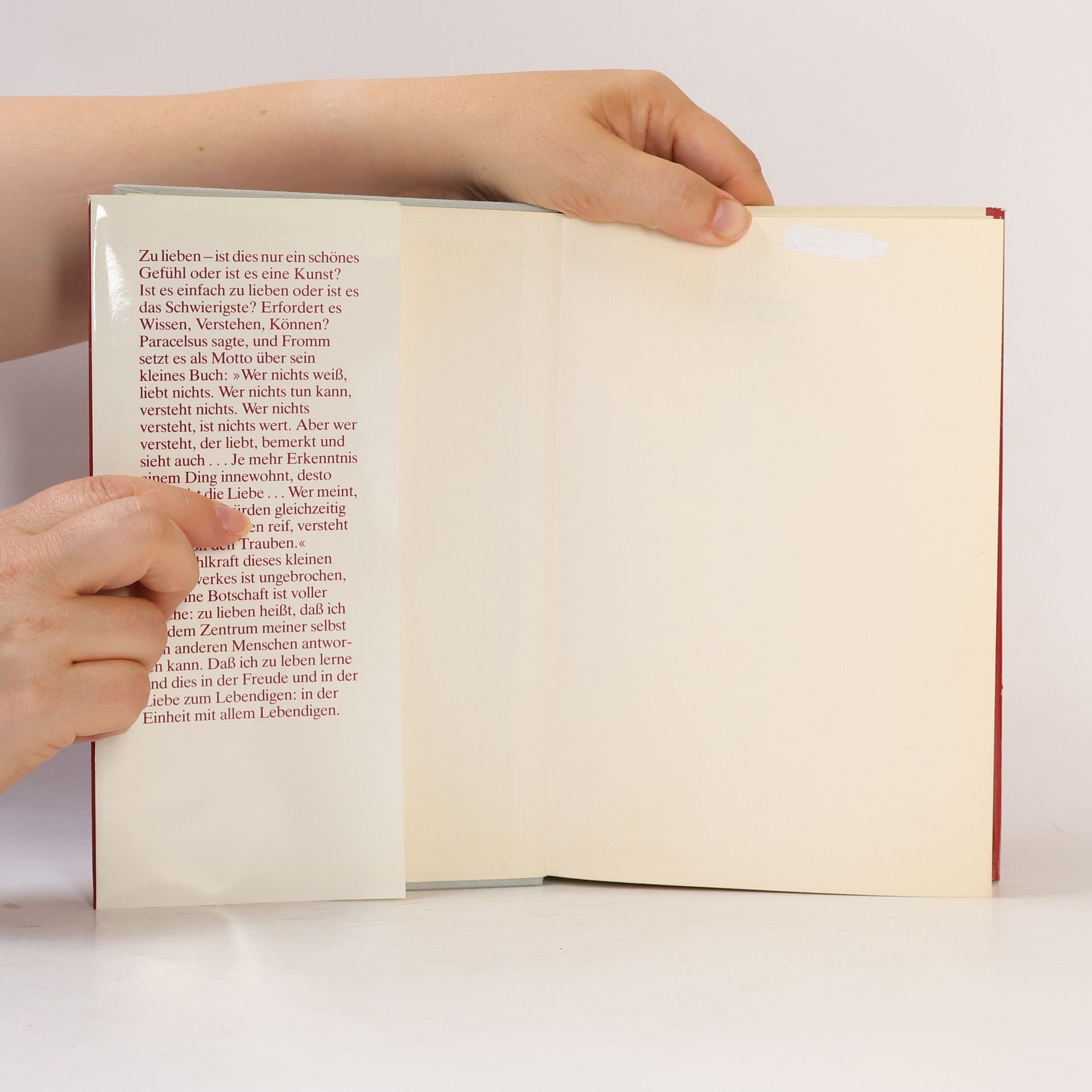 Erich Fromm Die Kunst des Liebens