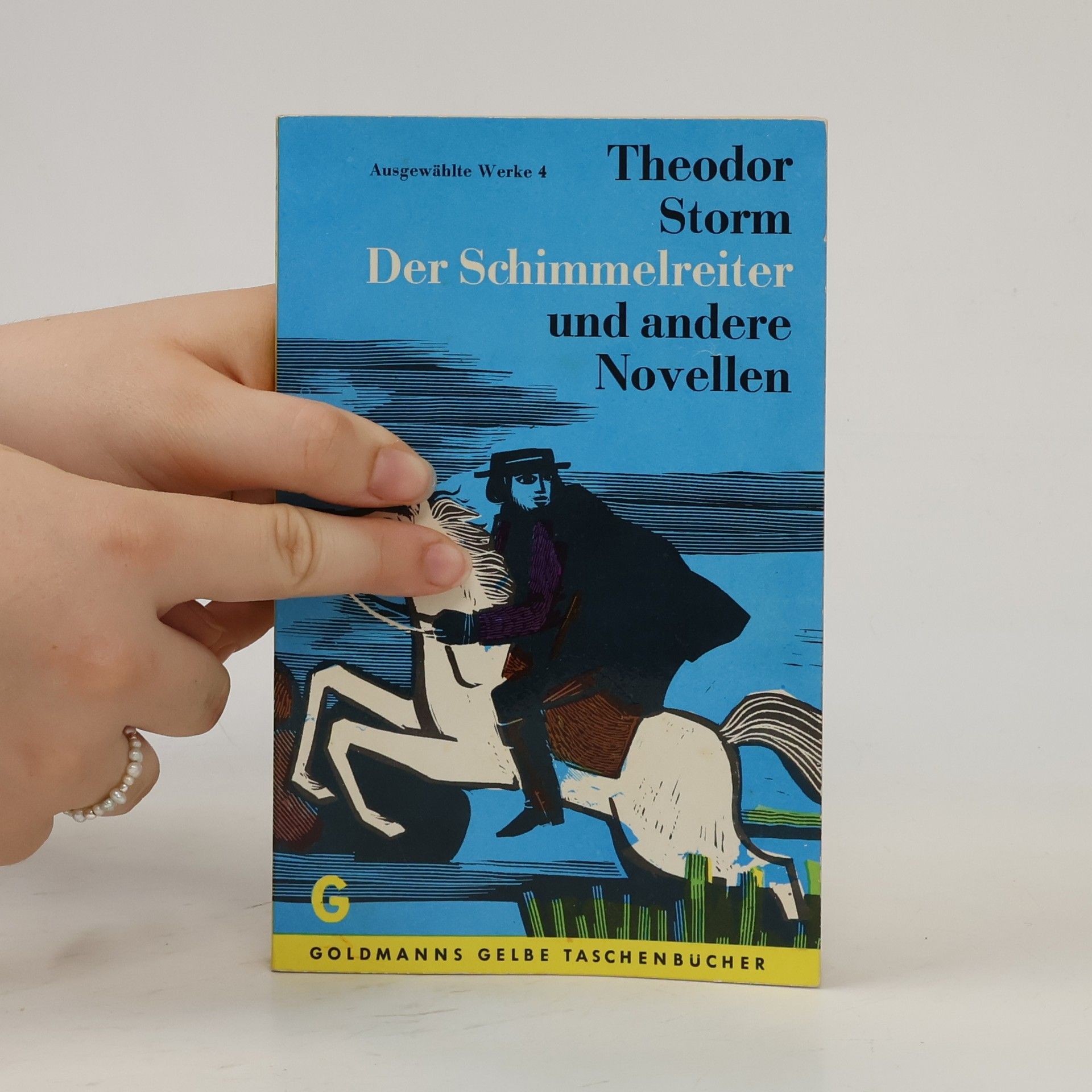 Theodor Storm Der Schimmelreiter. Pole Poppenspäler