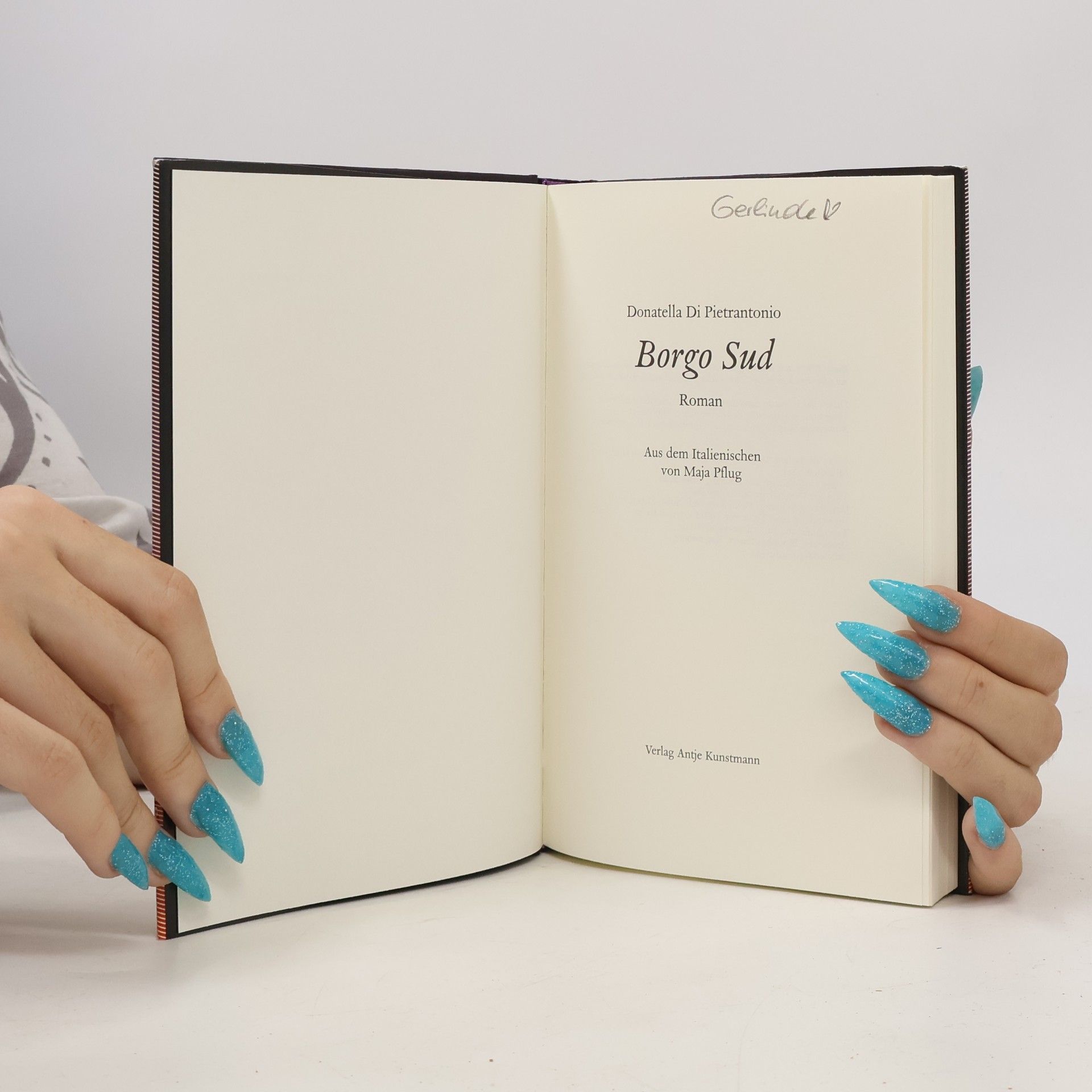 Donatella Di Pietrantonio Borgo Sud