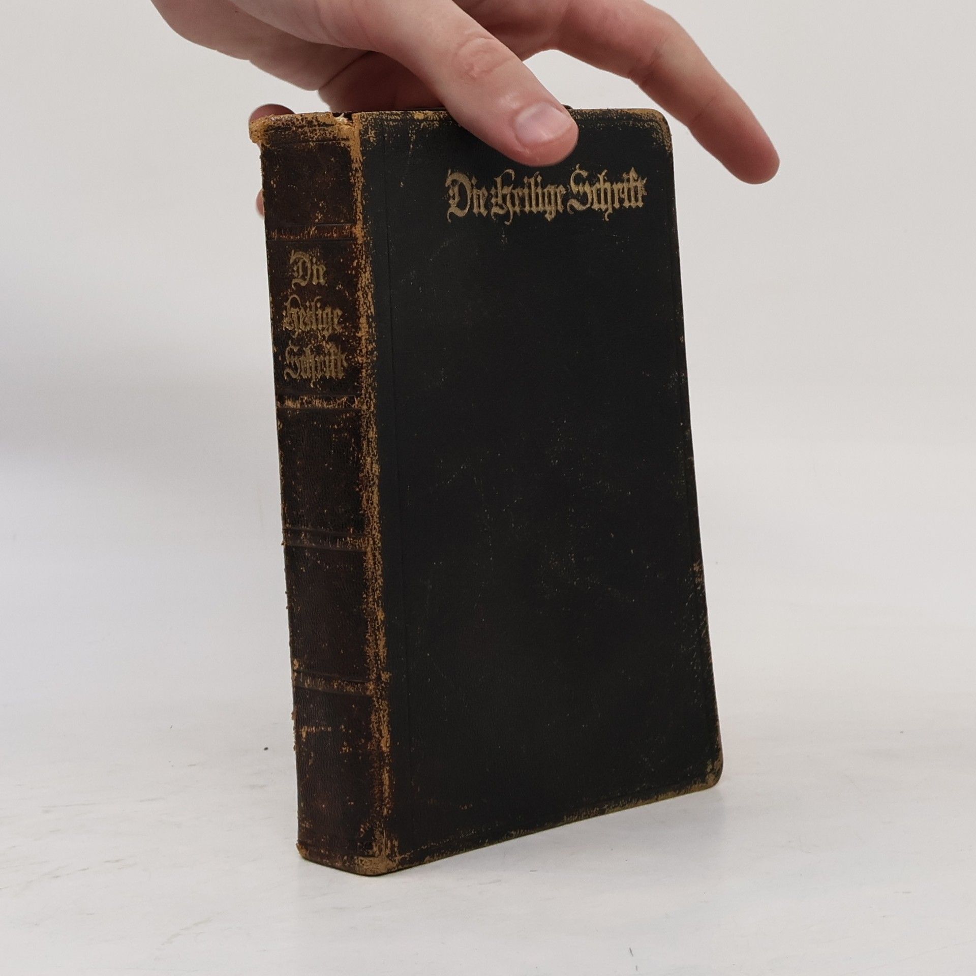 Autorenkollektiv Die Bibel oder die ganze Heilige Schrift des Alten und Neuen Testaments