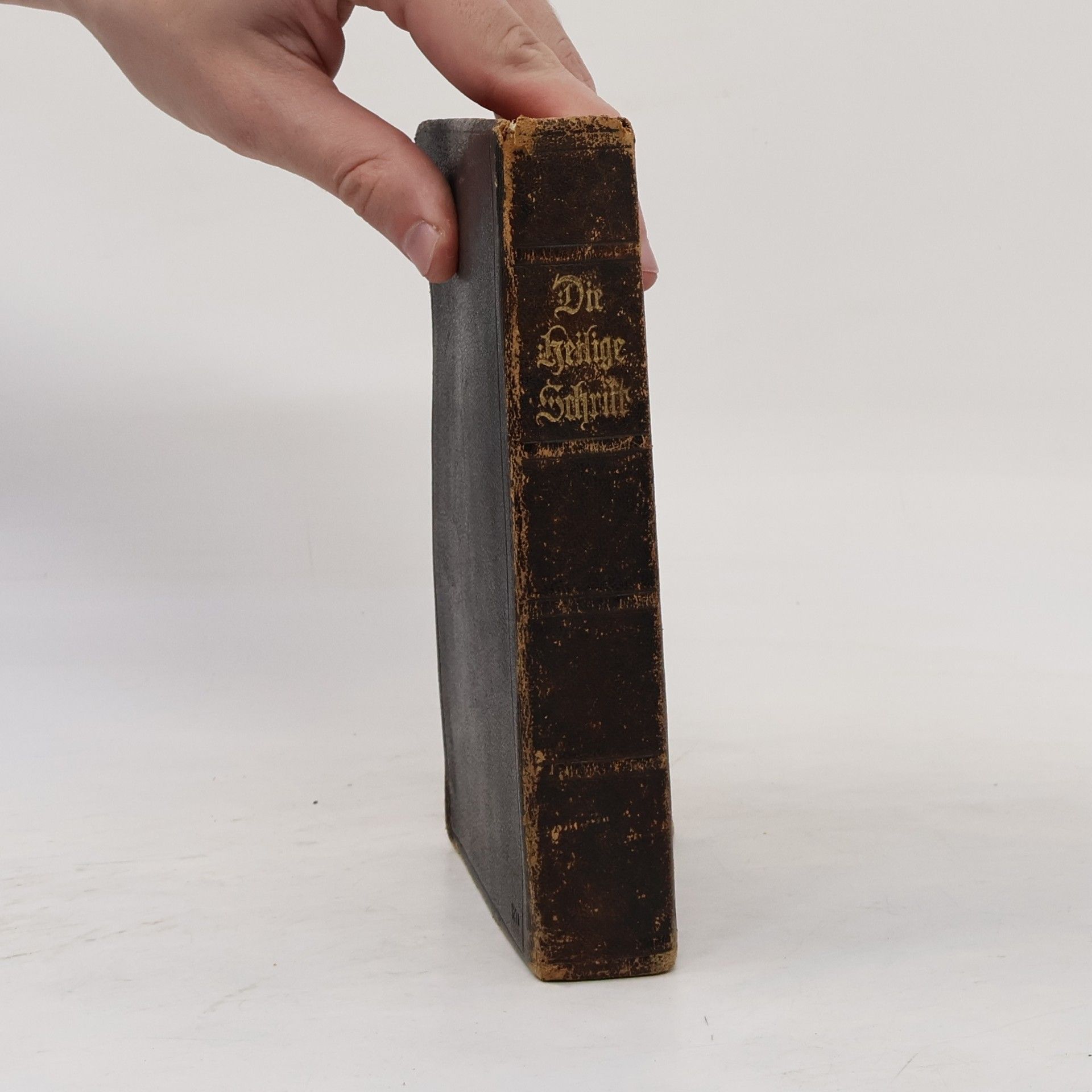Autorenkollektiv Die Bibel oder die ganze Heilige Schrift des Alten und Neuen Testaments