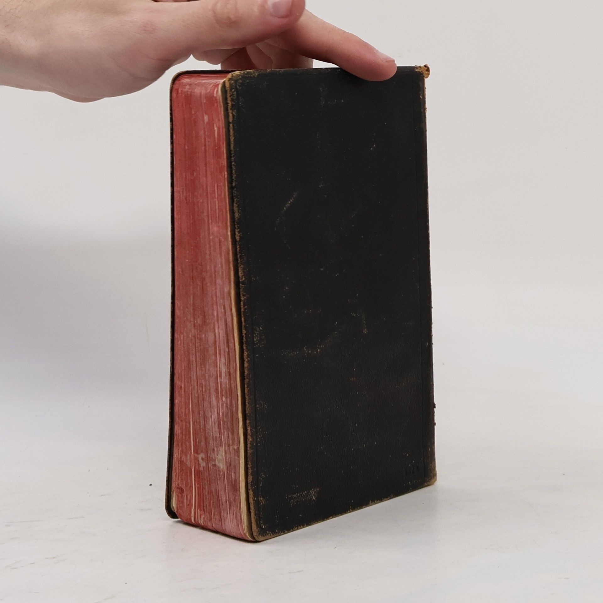 Autorenkollektiv Die Bibel oder die ganze Heilige Schrift des Alten und Neuen Testaments