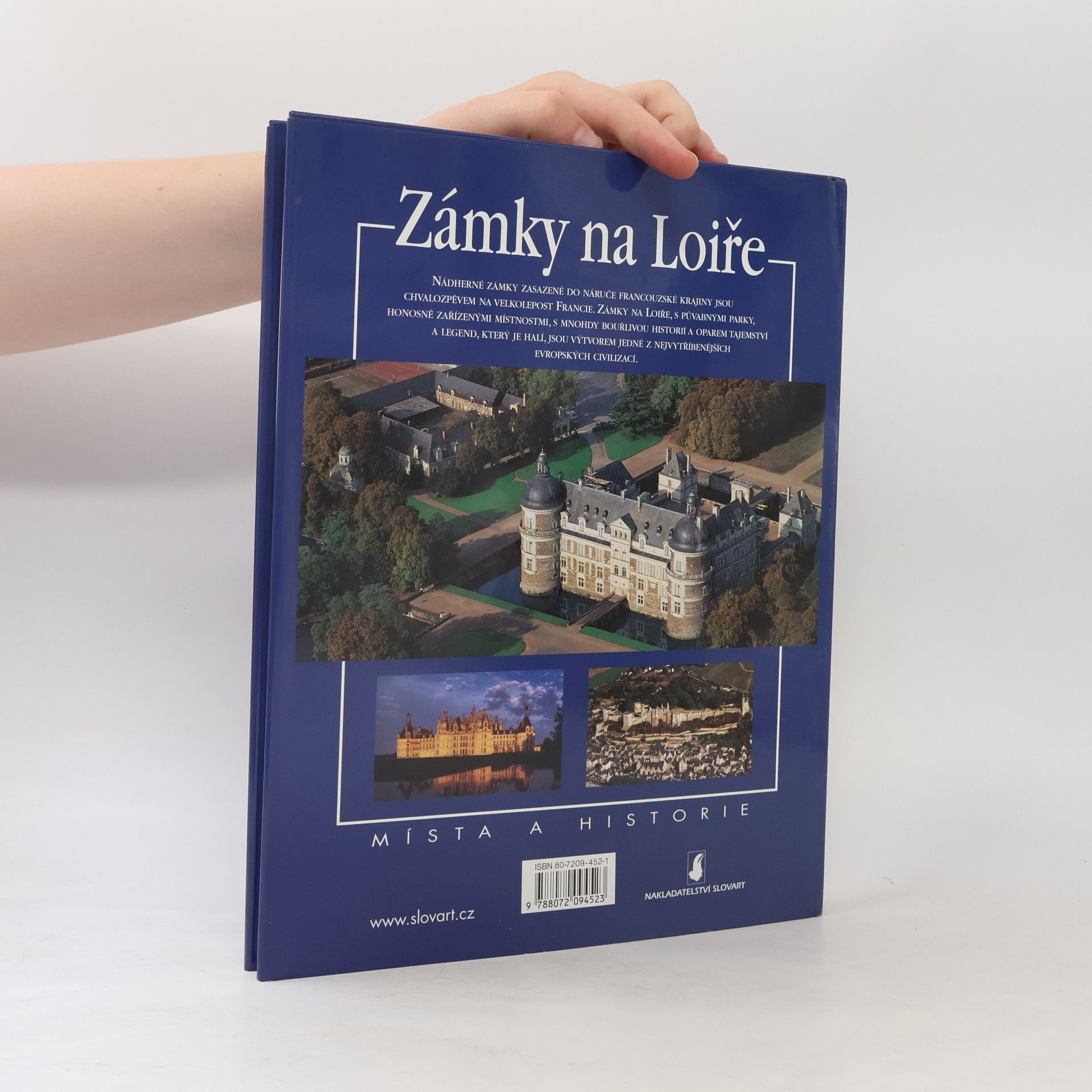 Milena Ercole Pozzoli Zámky na Loiře. Místa a historie