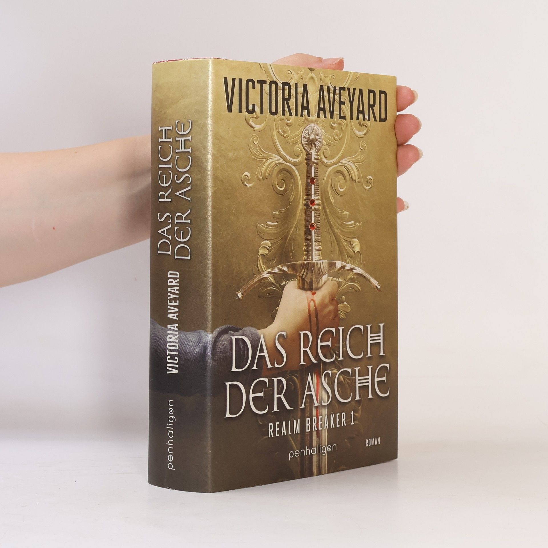 Victoria Aveyard Das Reich der Asche - Realm Breaker 1