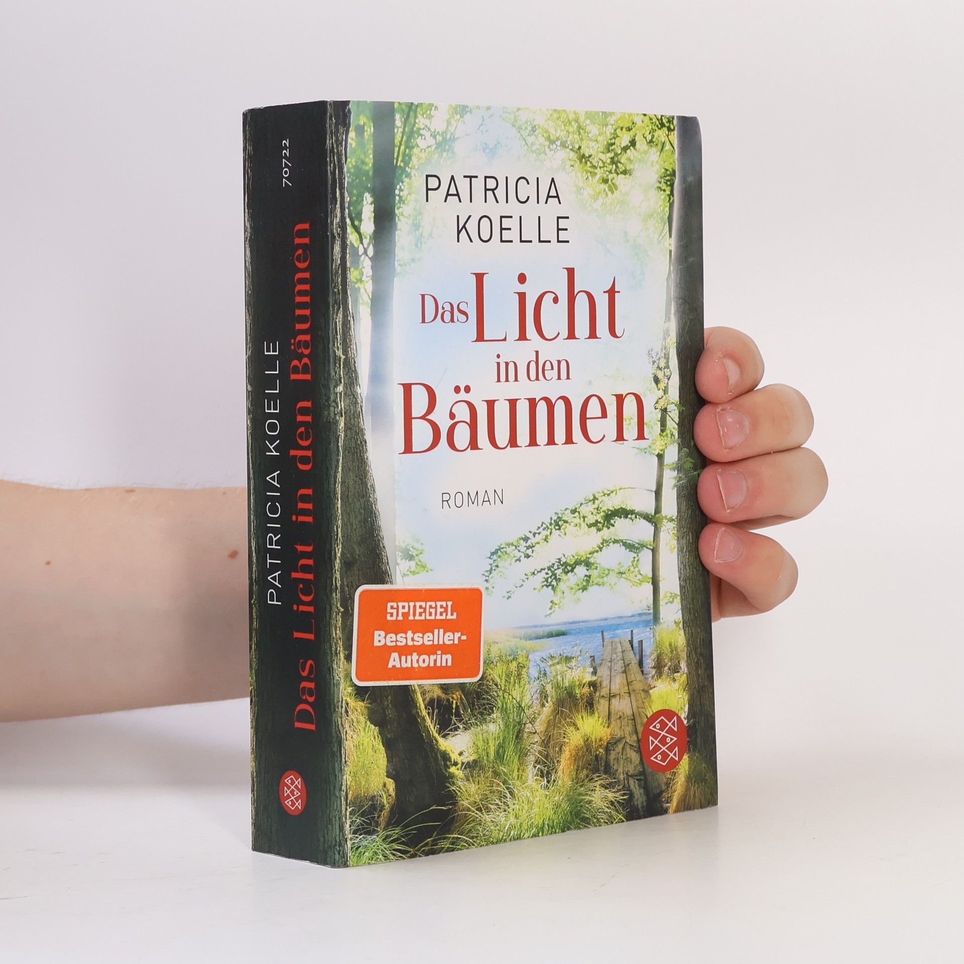 Das Licht in den Bäumen
