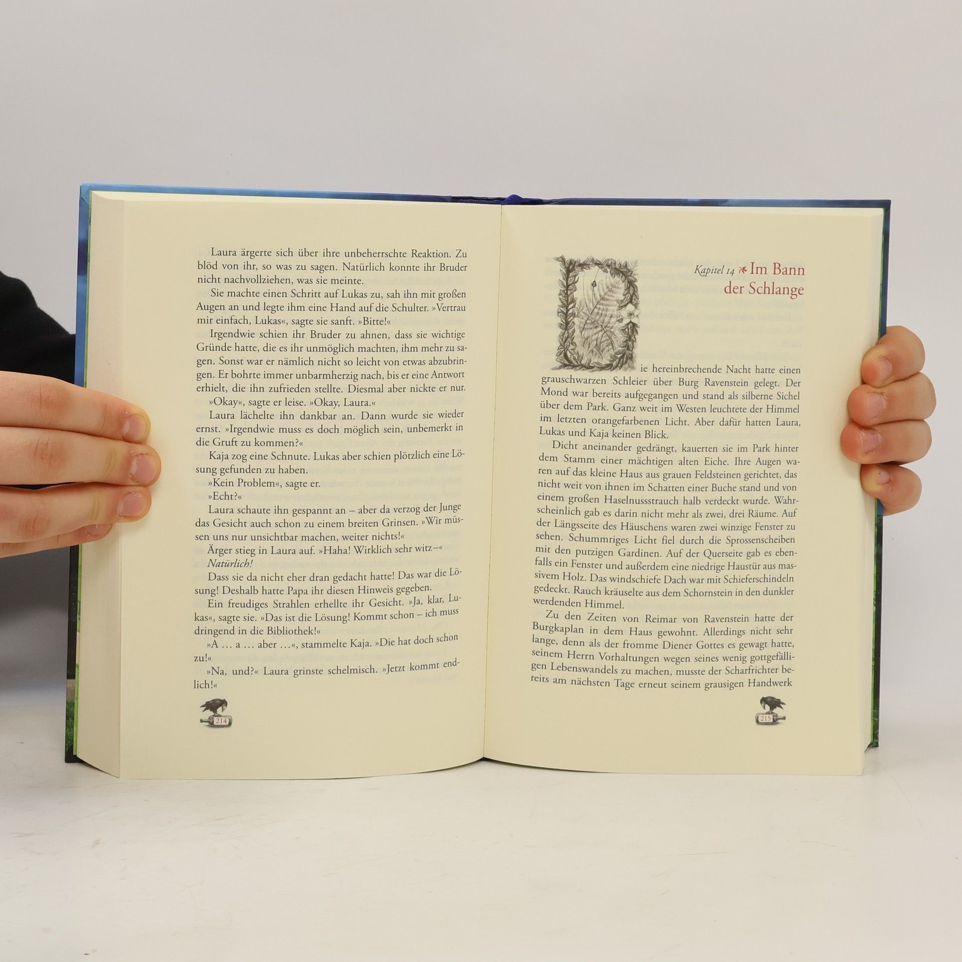 Peter Freund Laura und das Geheimnis von Aventerra