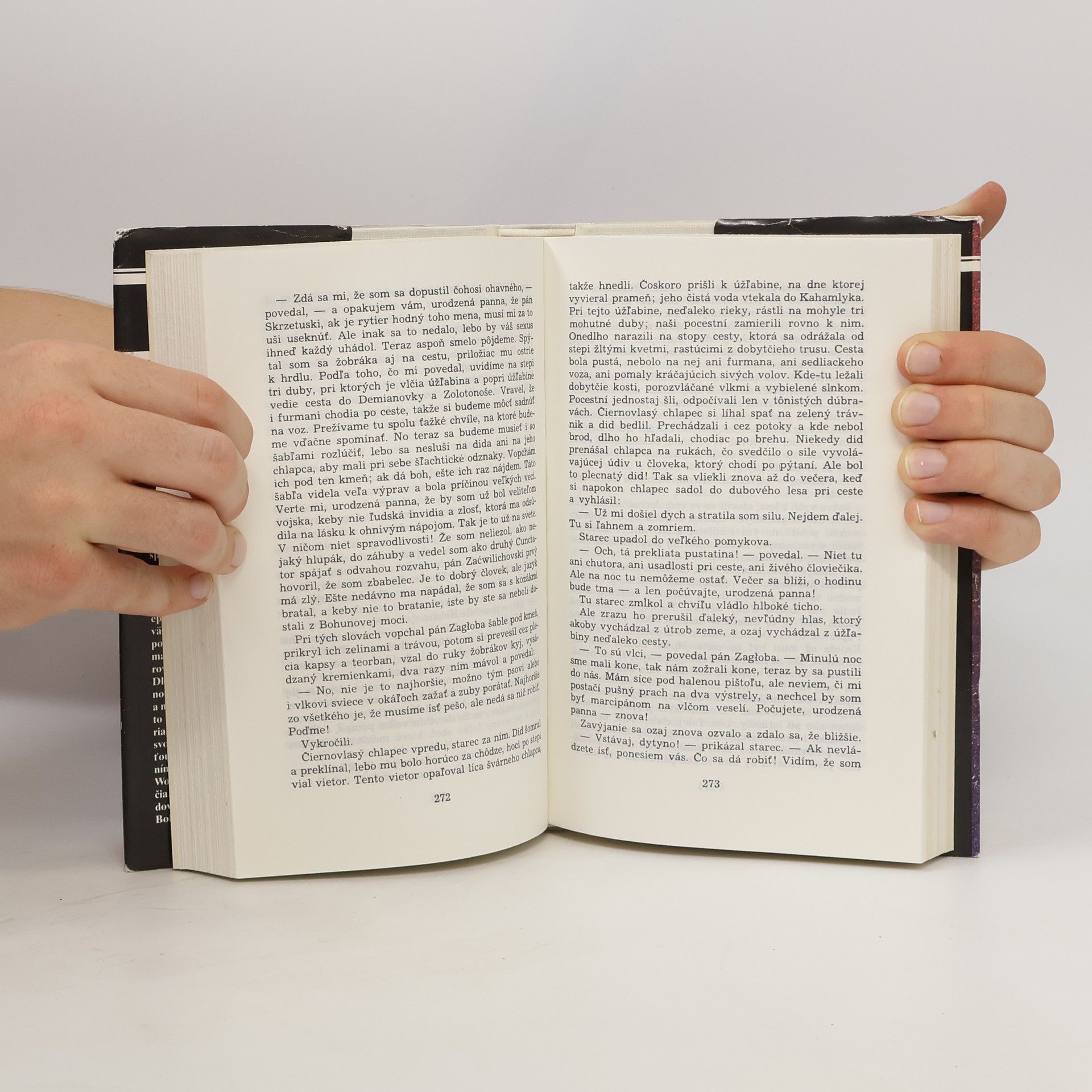 Henryk Sienkiewicz Ohňom a mečom I