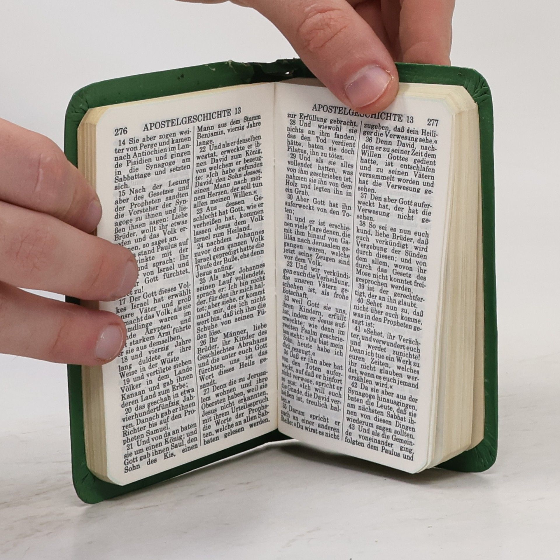 Autorenkollektiv Neues Testament. Psalmen, Sprüche