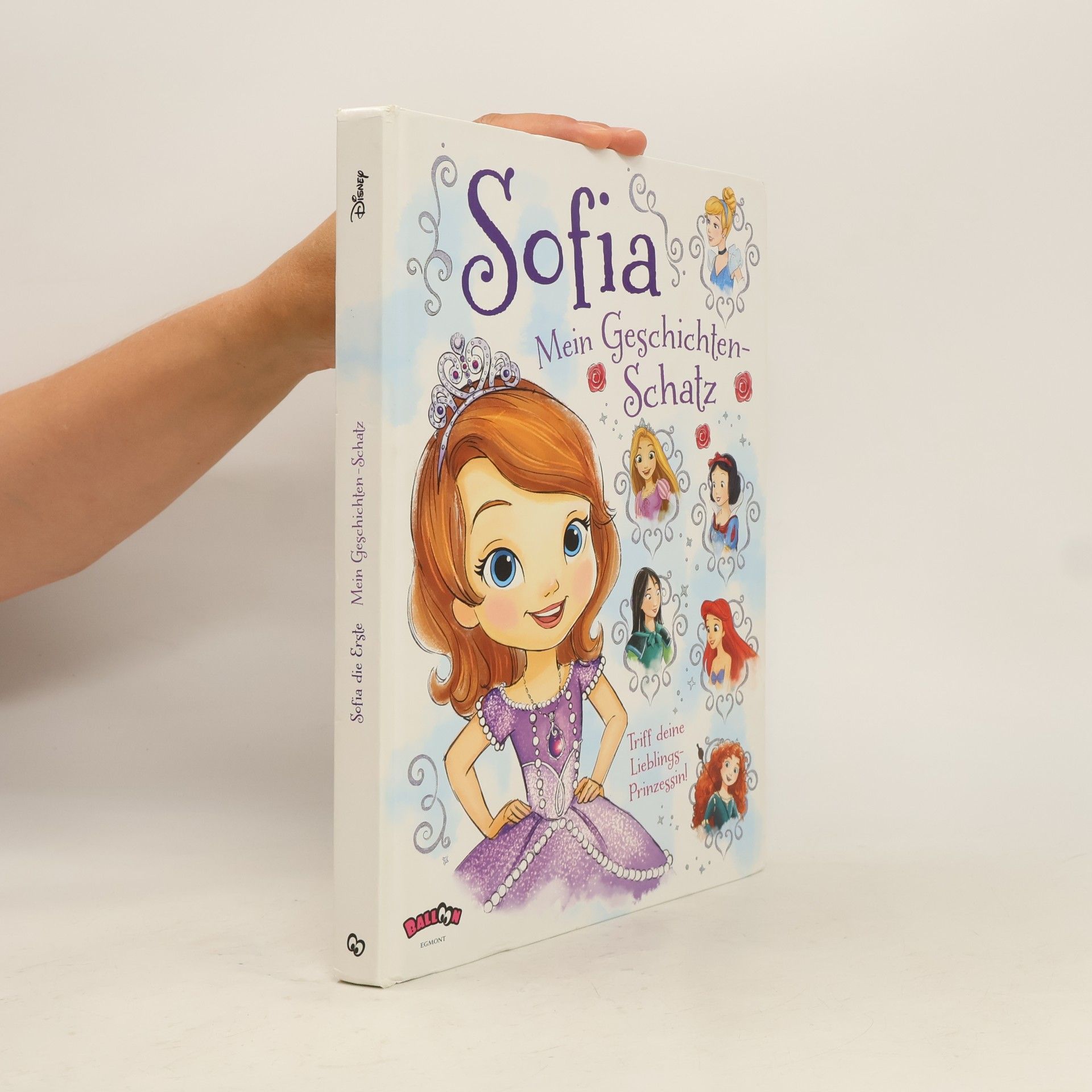 Walt Disney Sofia - mein Geschichten-Schatz