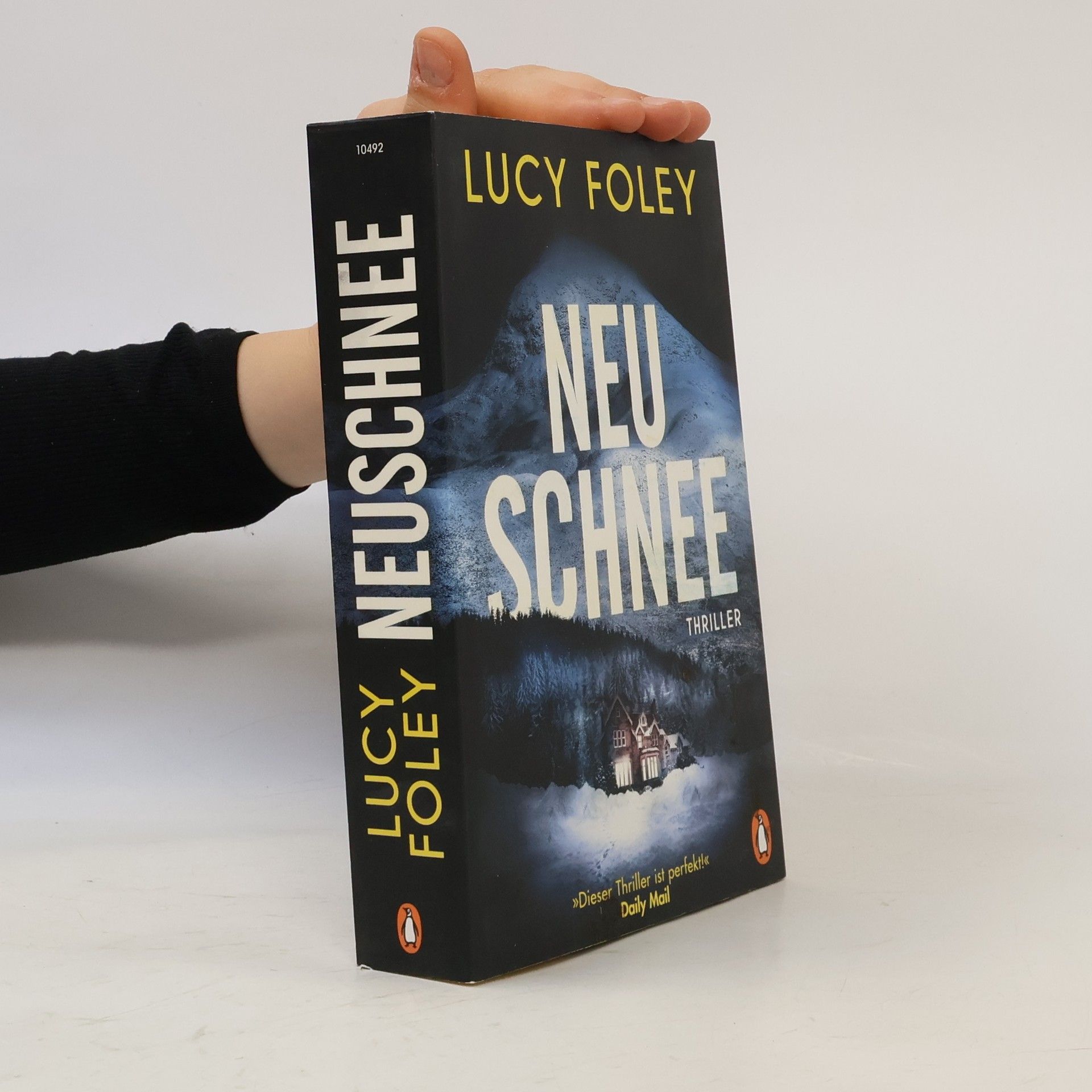Lucy Foley Neuschnee