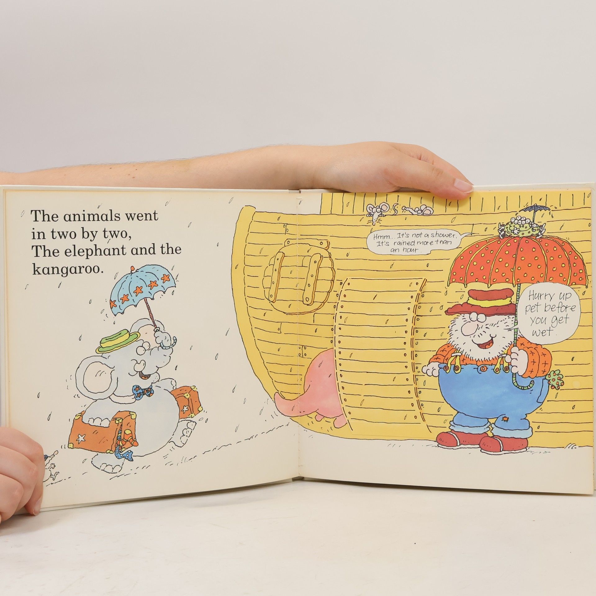 Colin Hawkins Noah Built an Ark One Day